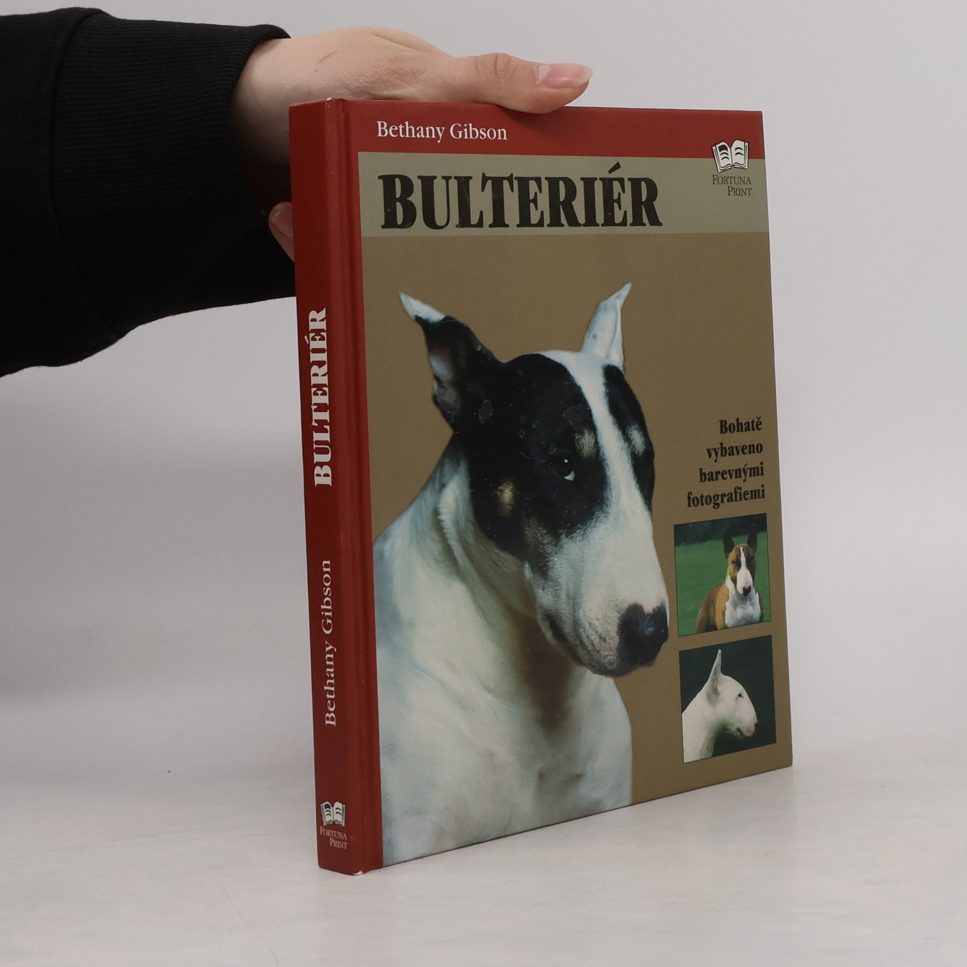 Bethany Gibson Bulteriér