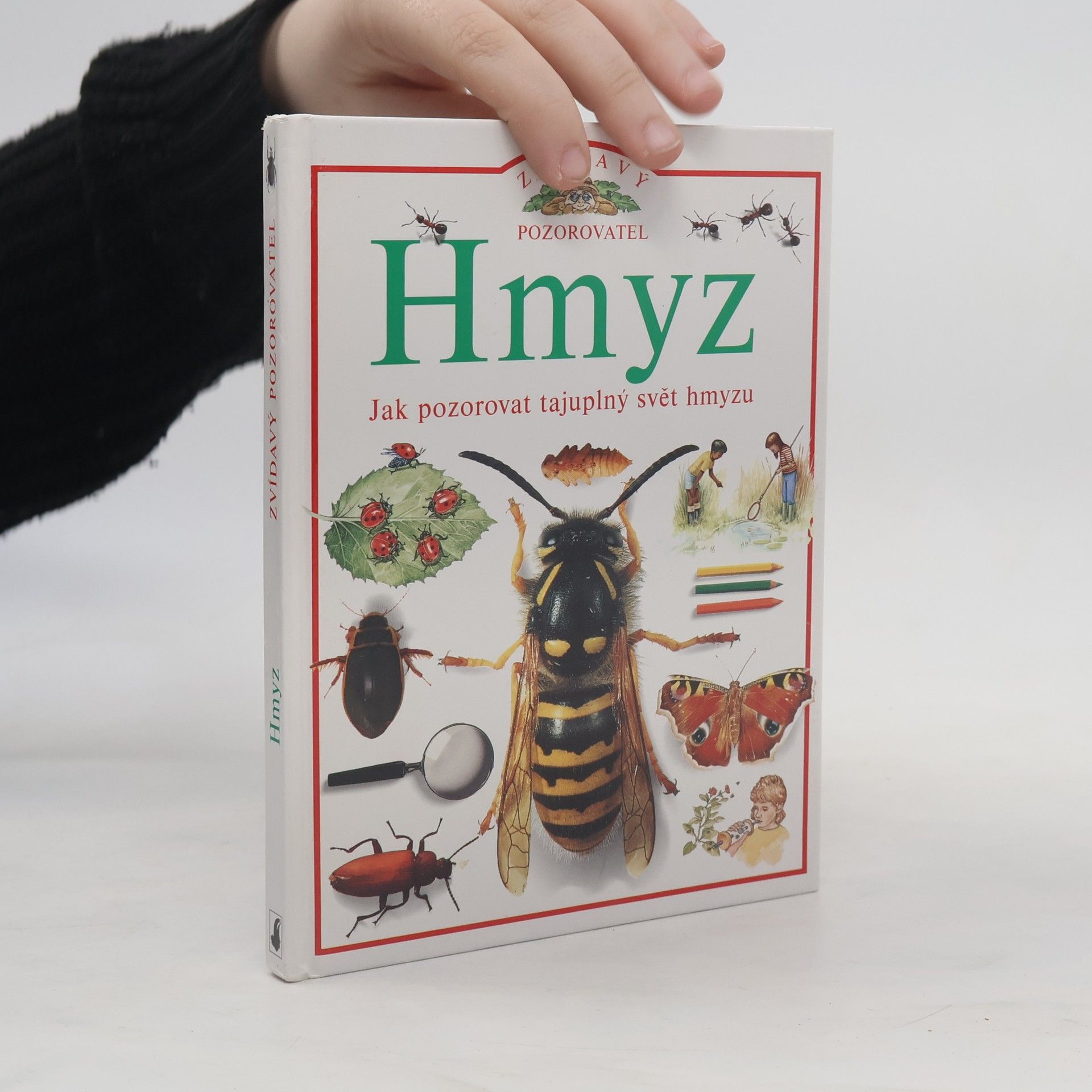 Steve Parker Hmyz, jak pozorovat tajuplný svět hmyzu