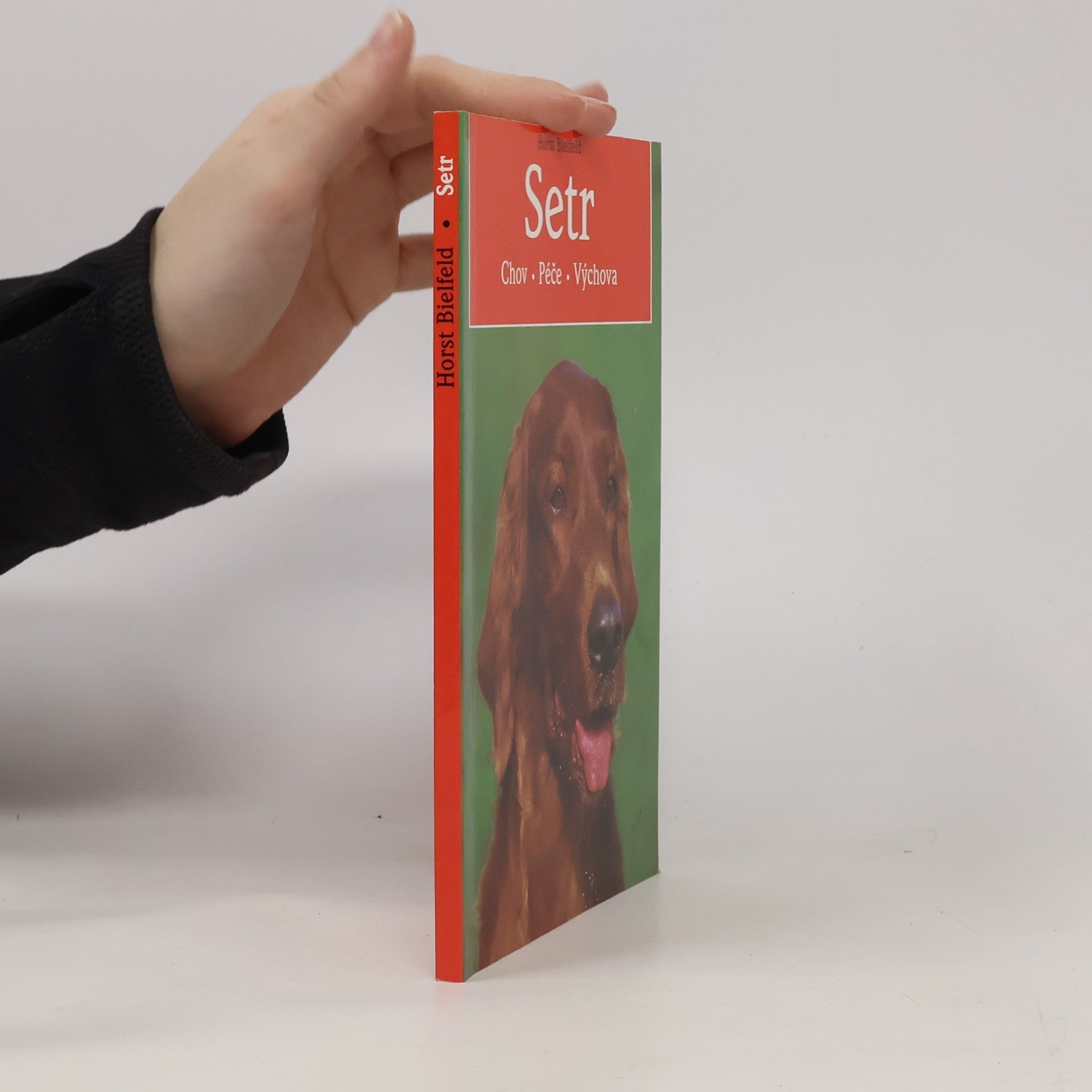 Horst Bielfeld Setr: chov, péče, výchova