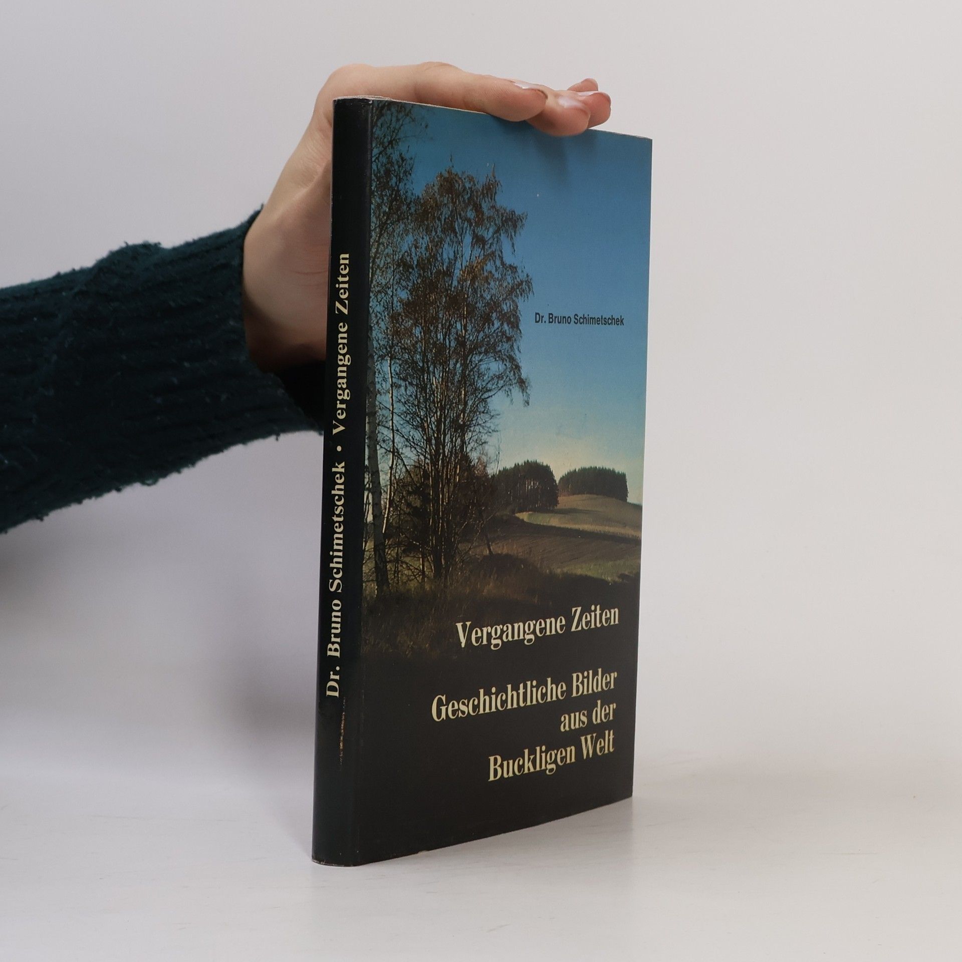 Bruno Schimetschek Vergangene Zeiten
