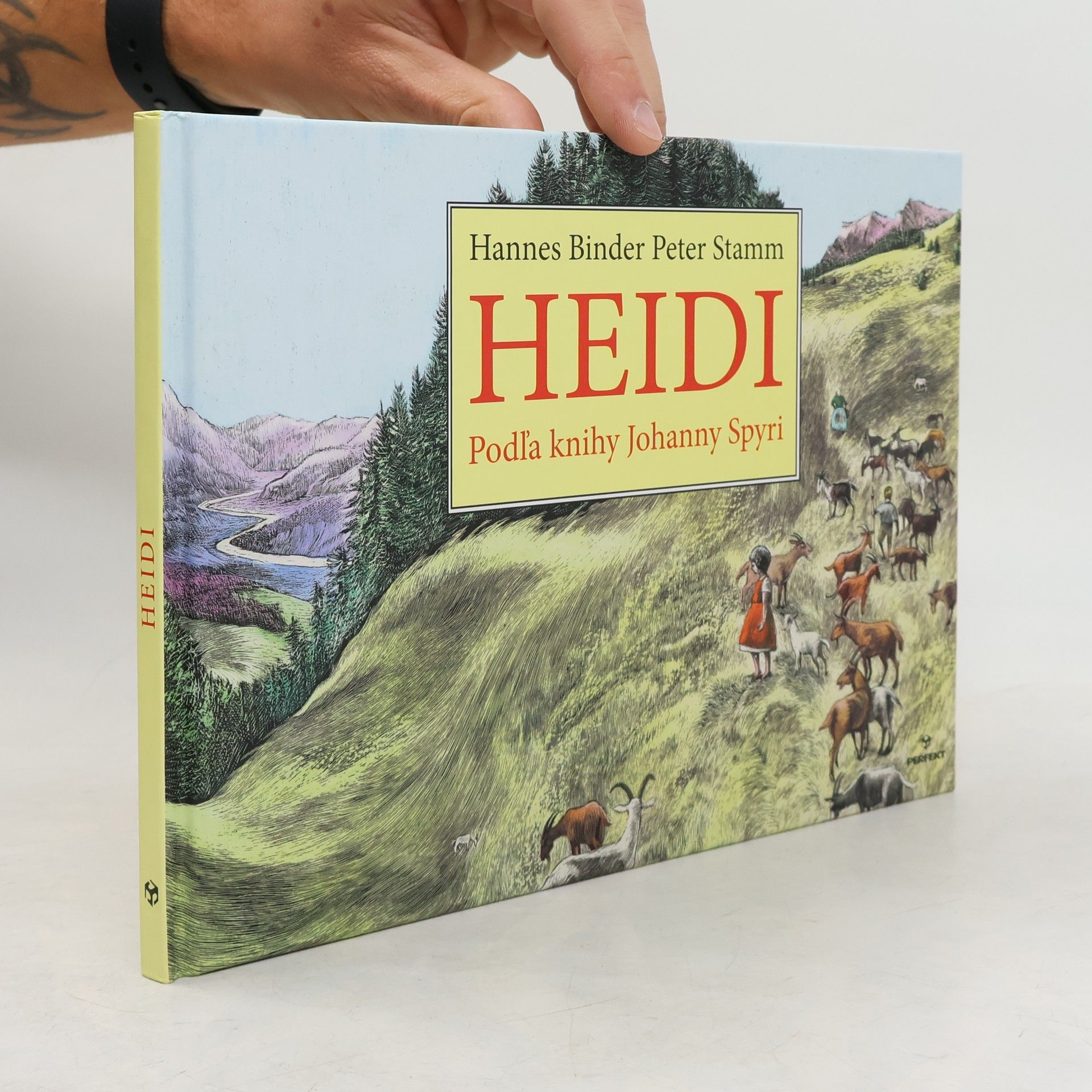 Peter Stamm Heidi