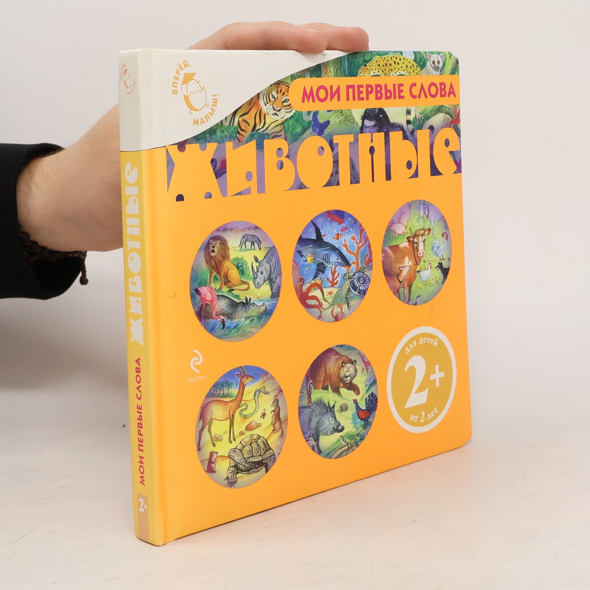 Autorenkollektiv Мои первые слова. Животные