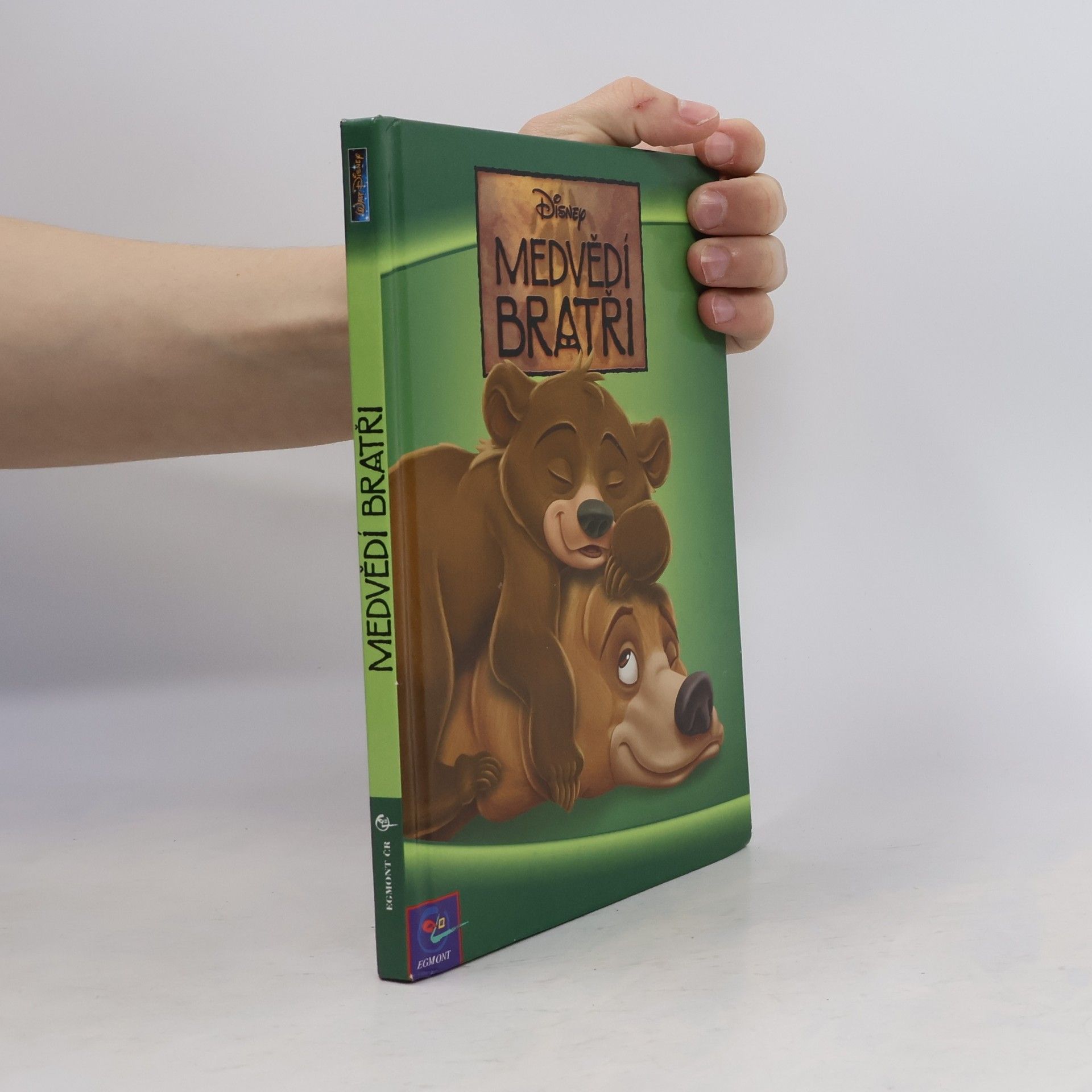 Walt Disney Medvědí bratři