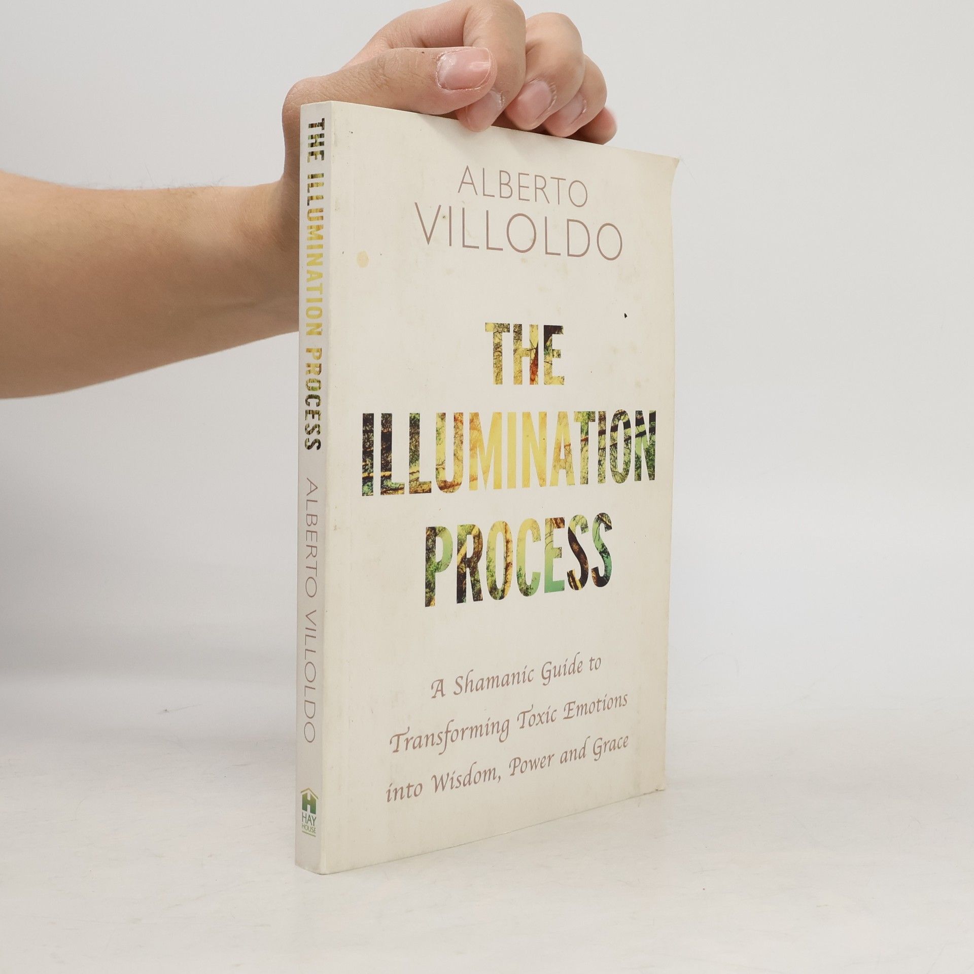 Alberto Villoldo The Illumination Process