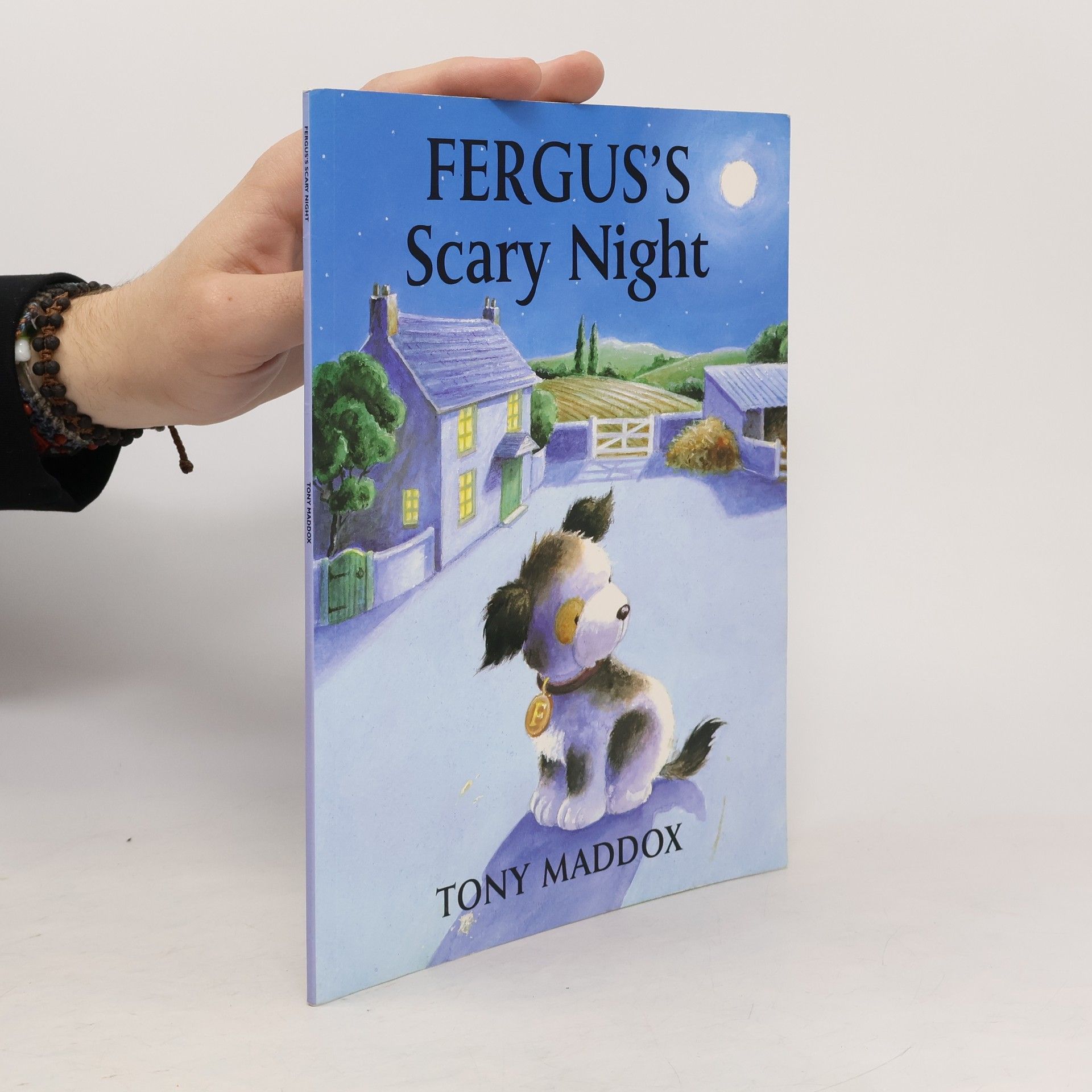 Fergus's Scary Night