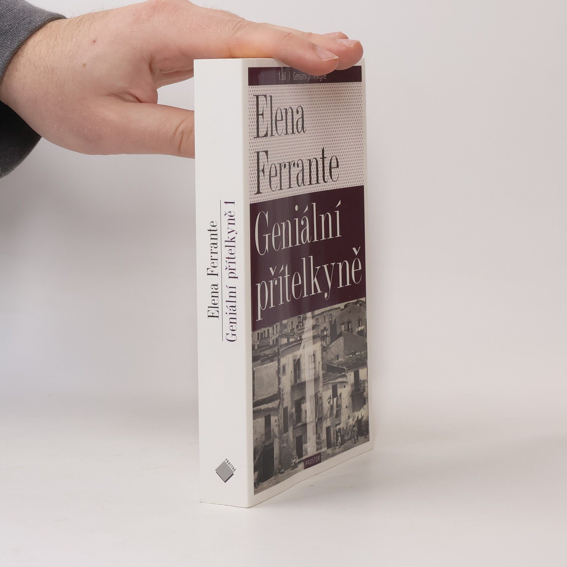 Elena Ferrante Geniální přítelkyně 1. Dětství a dospívání