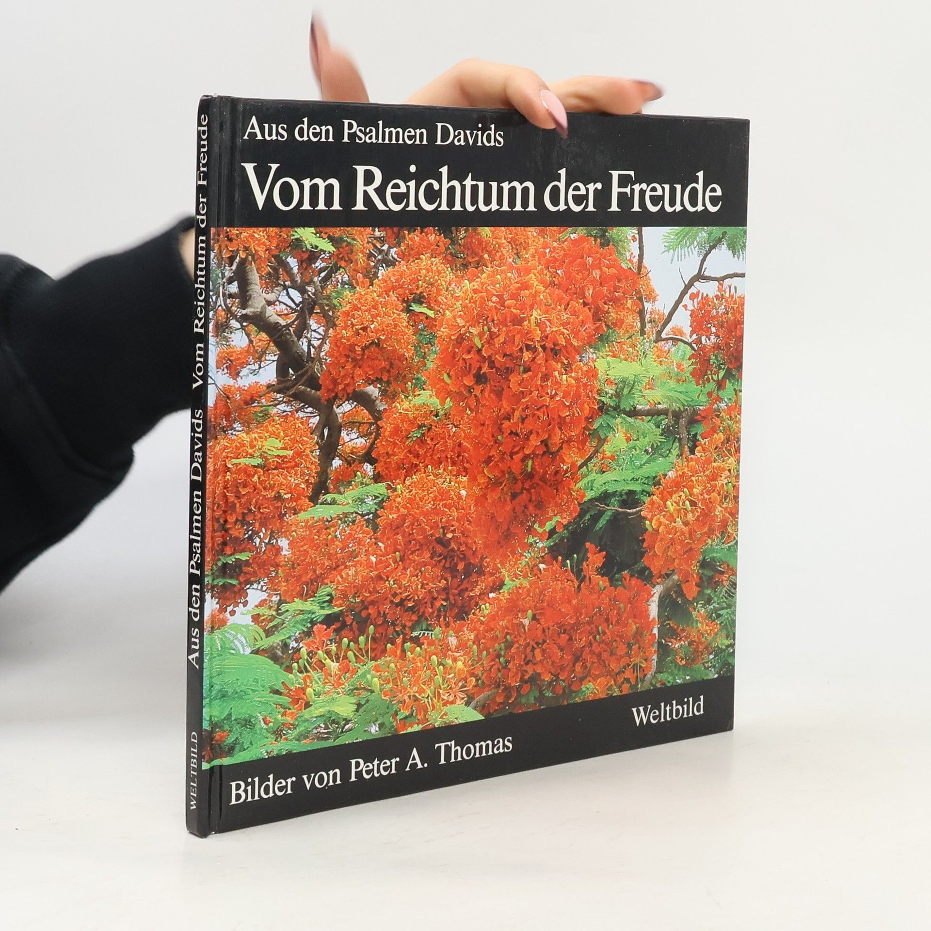 Peter A. Thomas Das Gute wacht in uns