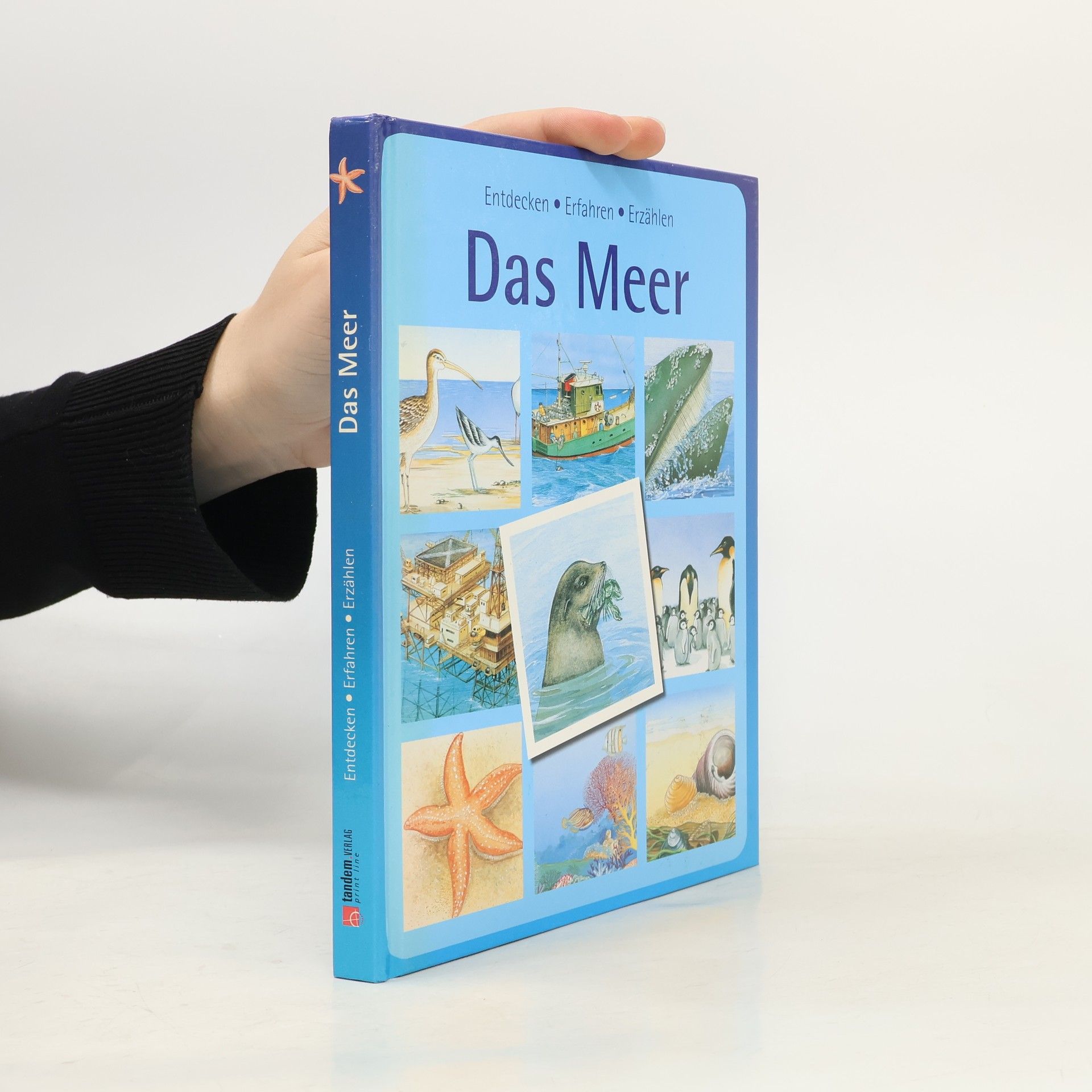 AA.VV. Das Meer