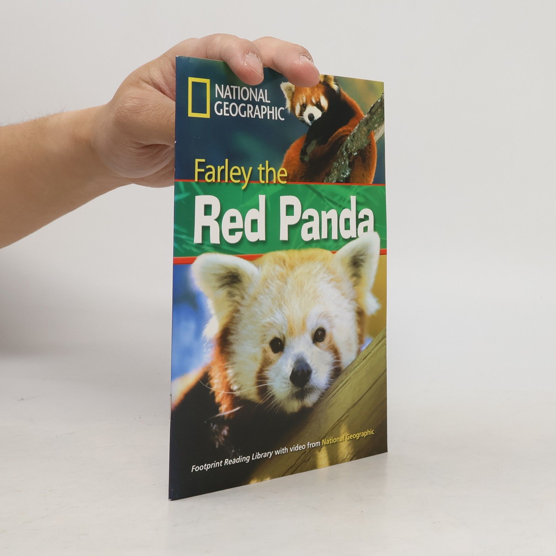 Farley the Red Panda