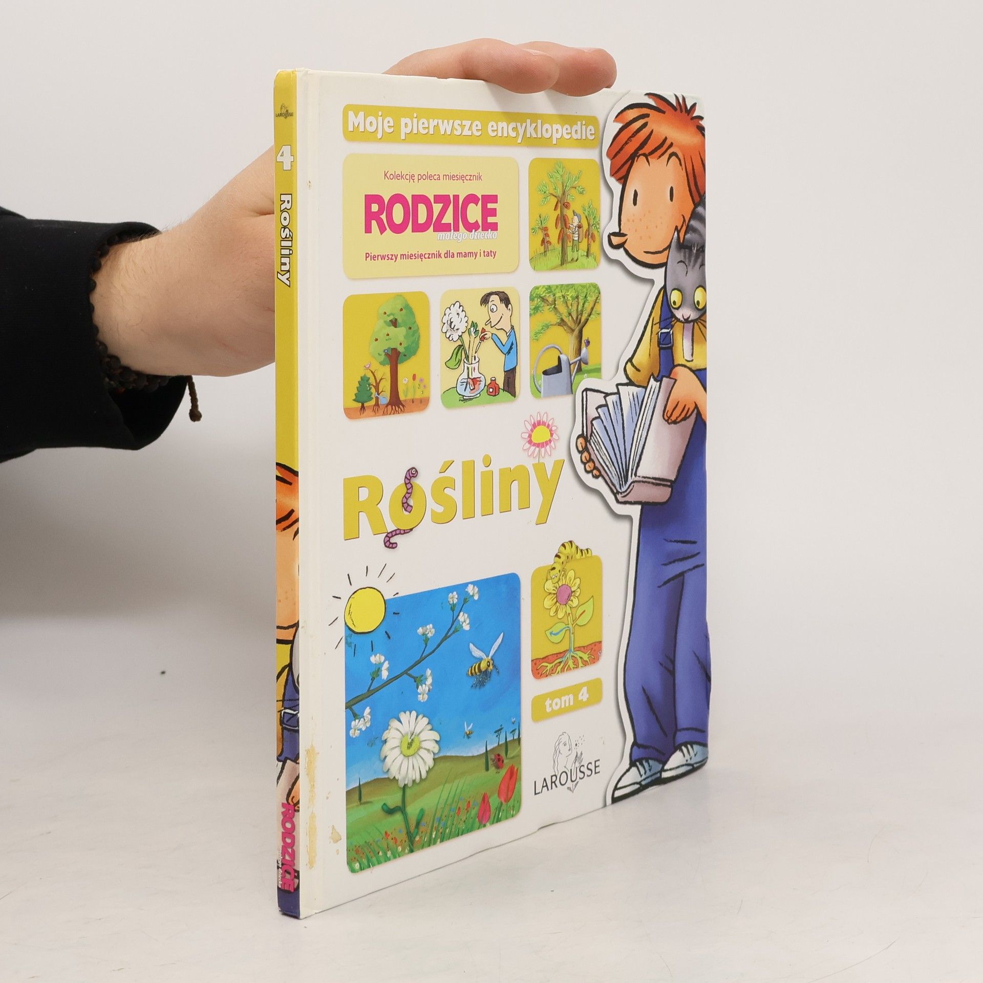 Maria Derwich Rośliny