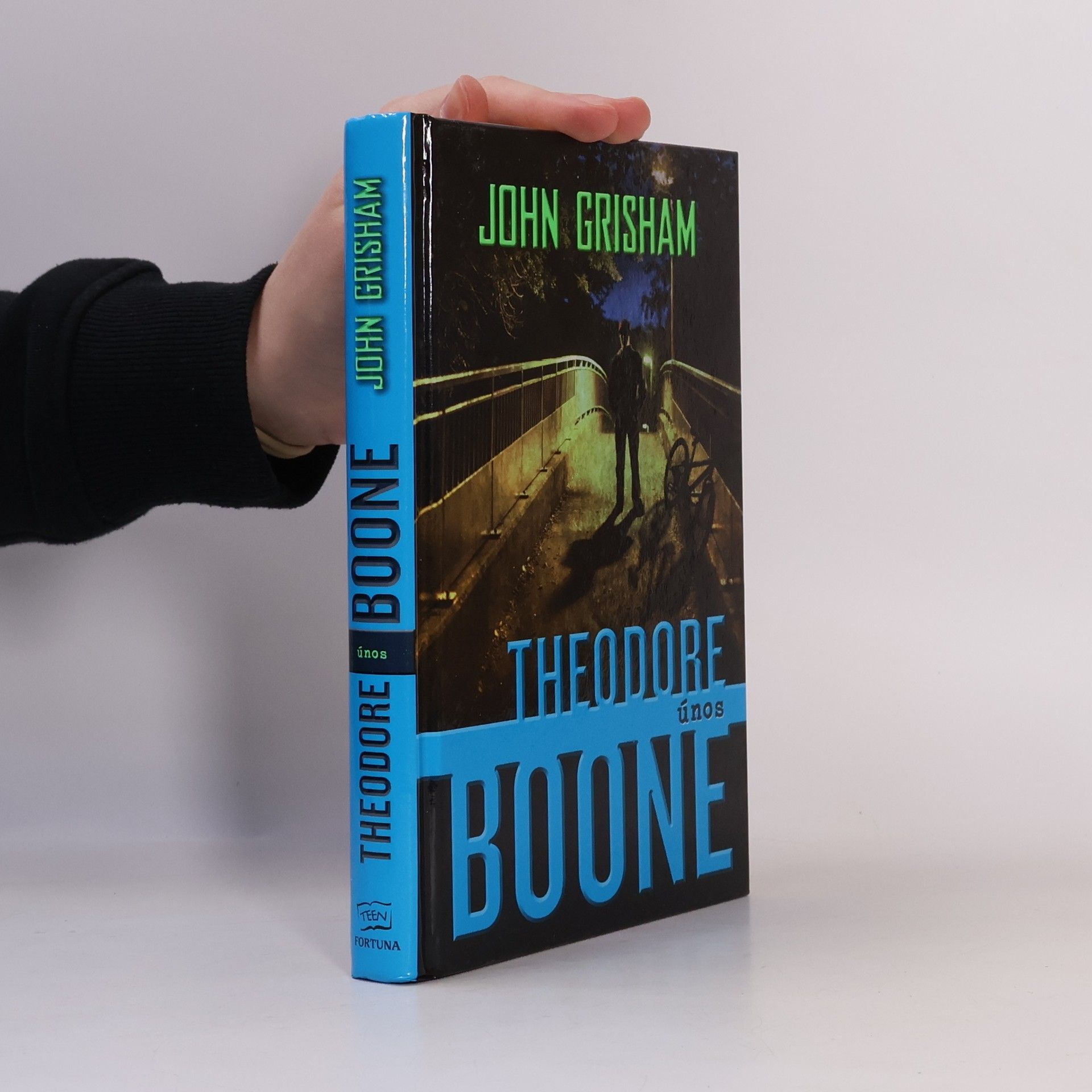 John Grisham Theodore Boone. Únos