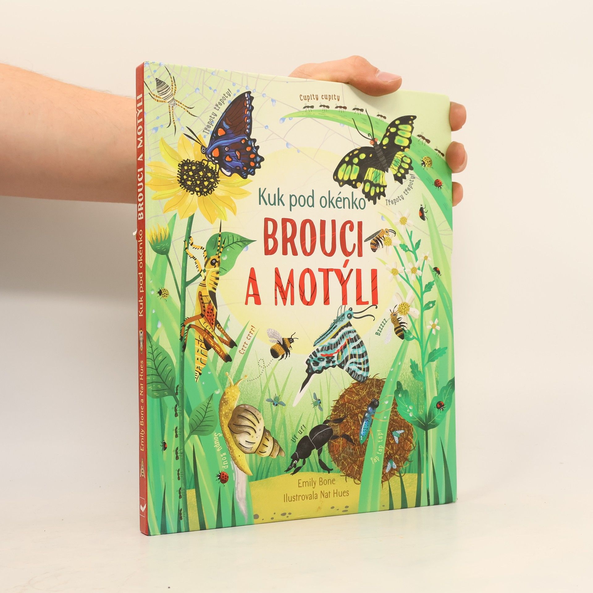 Nat Hues Brouci a motýli