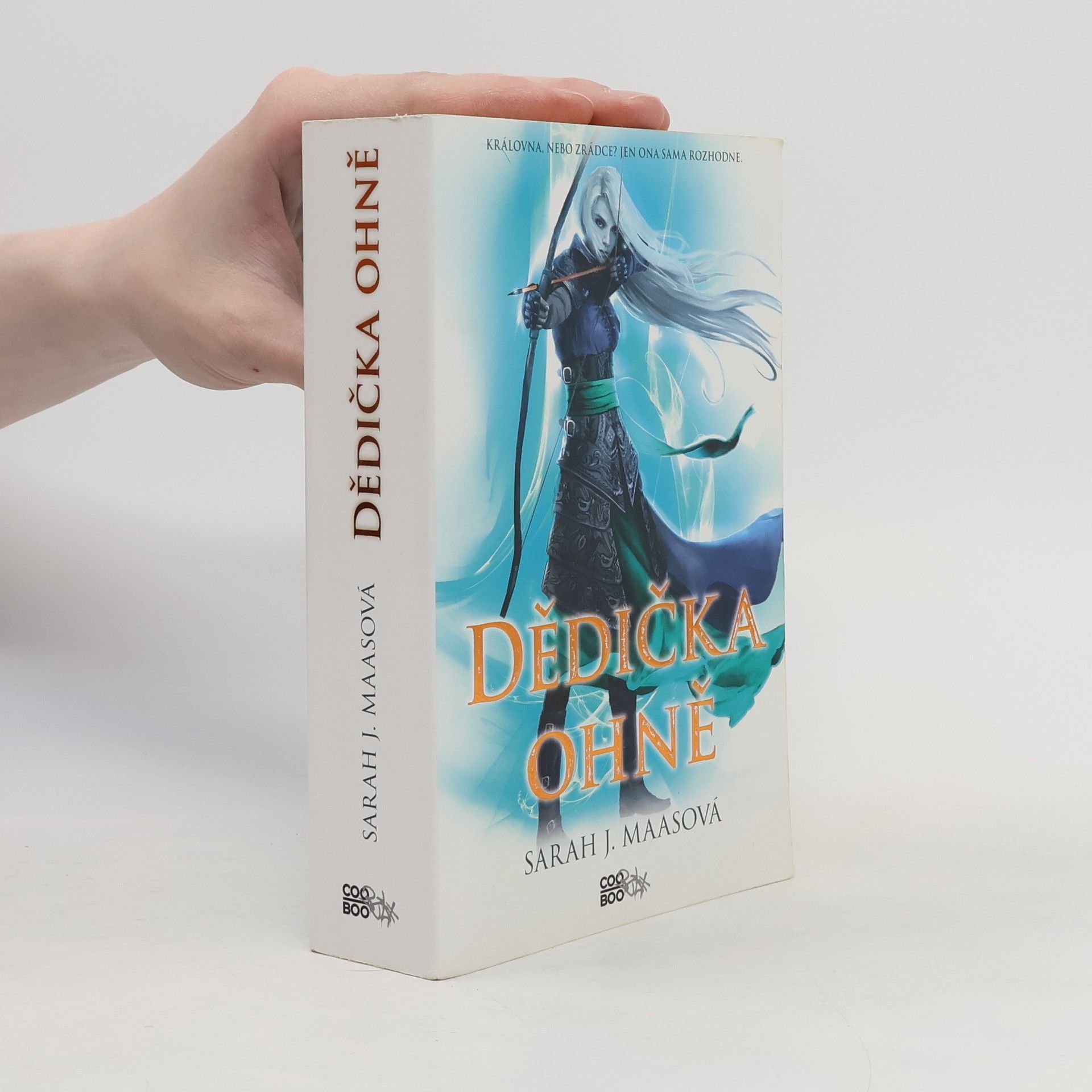 Sarah J. Maas Dědička ohně