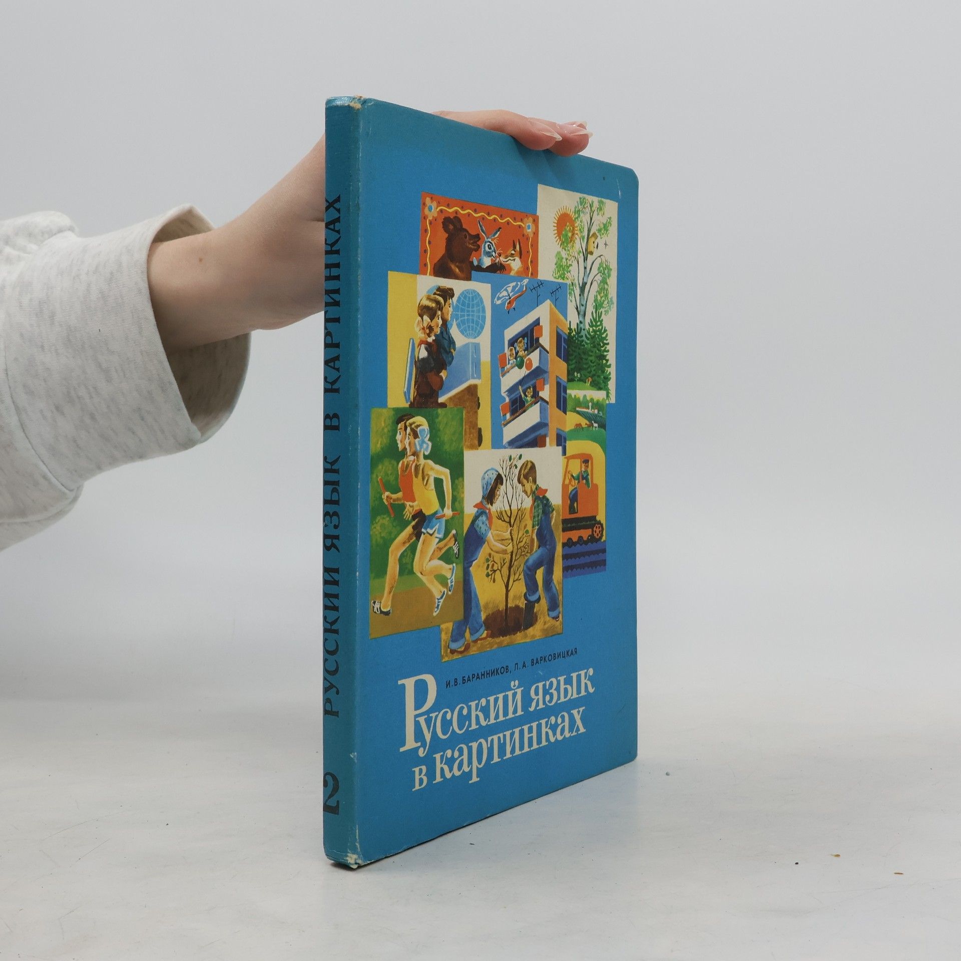I. V. Barannikov Русский язык в картинках