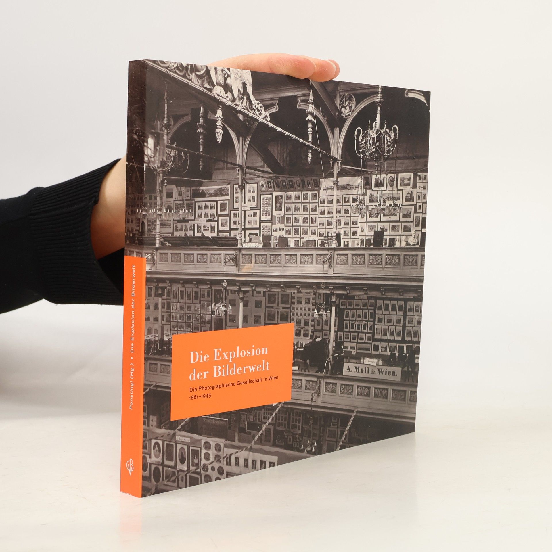 Michael Ponstingl Die Explosion der Bilderwelt