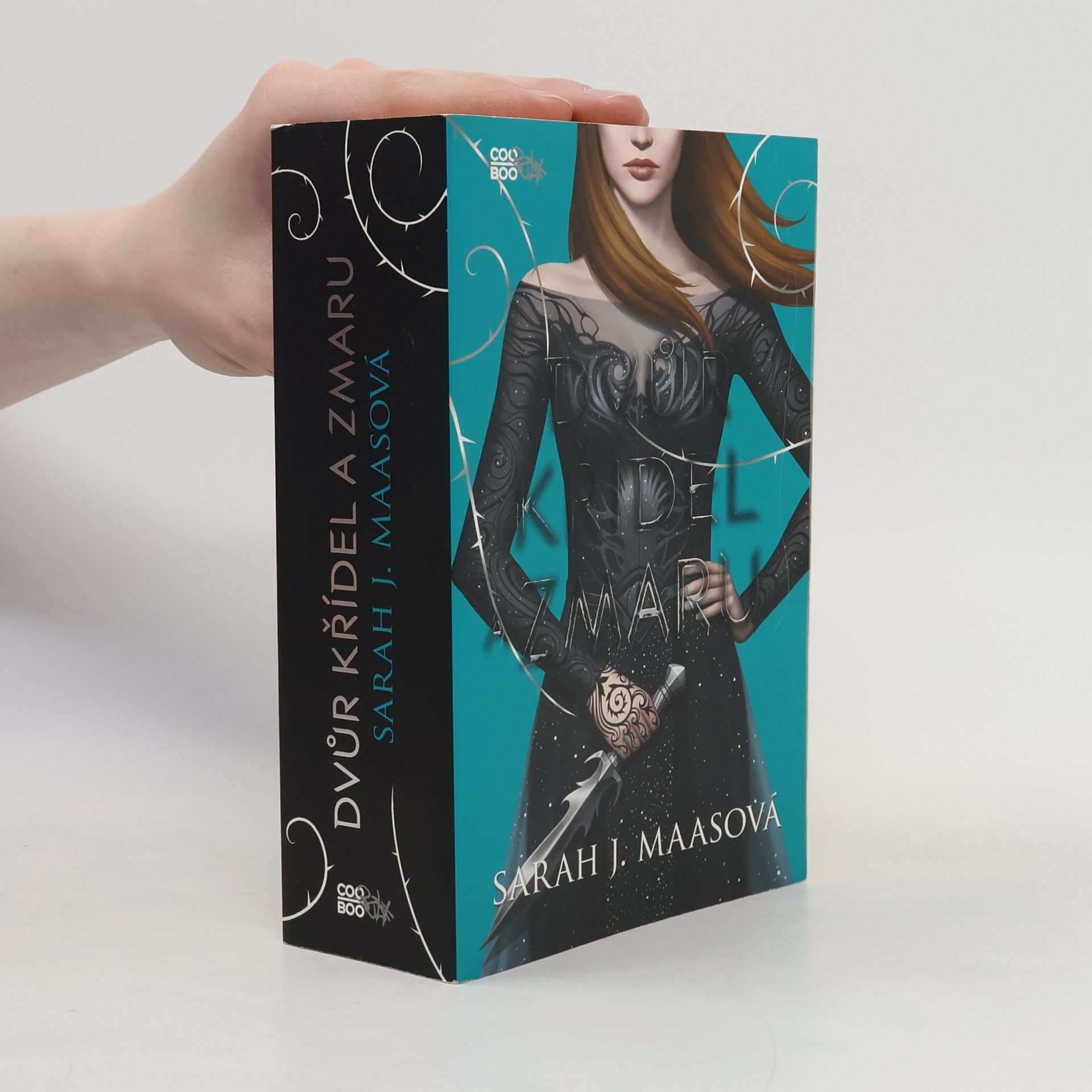 Sarah J. Maas Dvůr křídel a zmaru