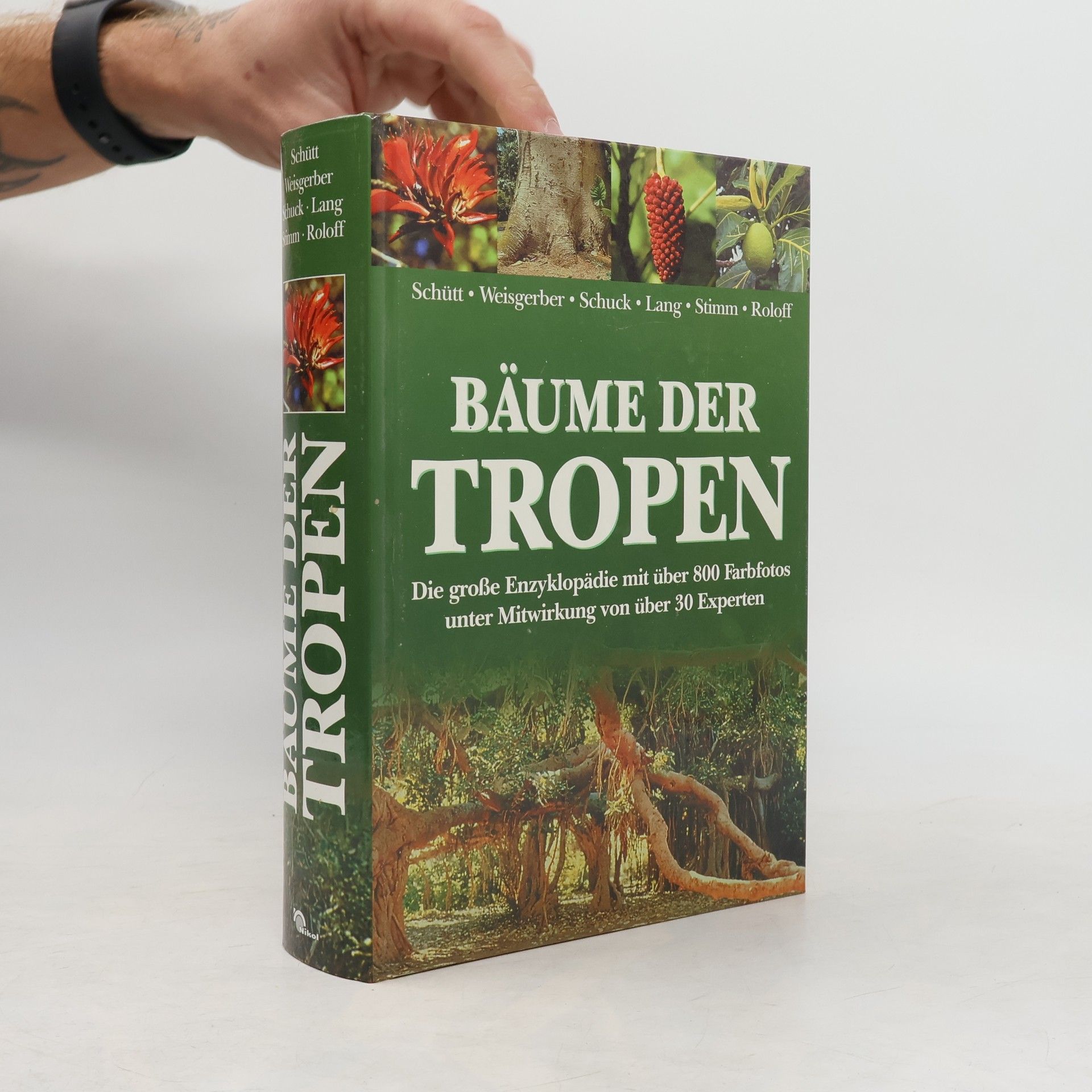 Peter Schütt Bäume der Tropen