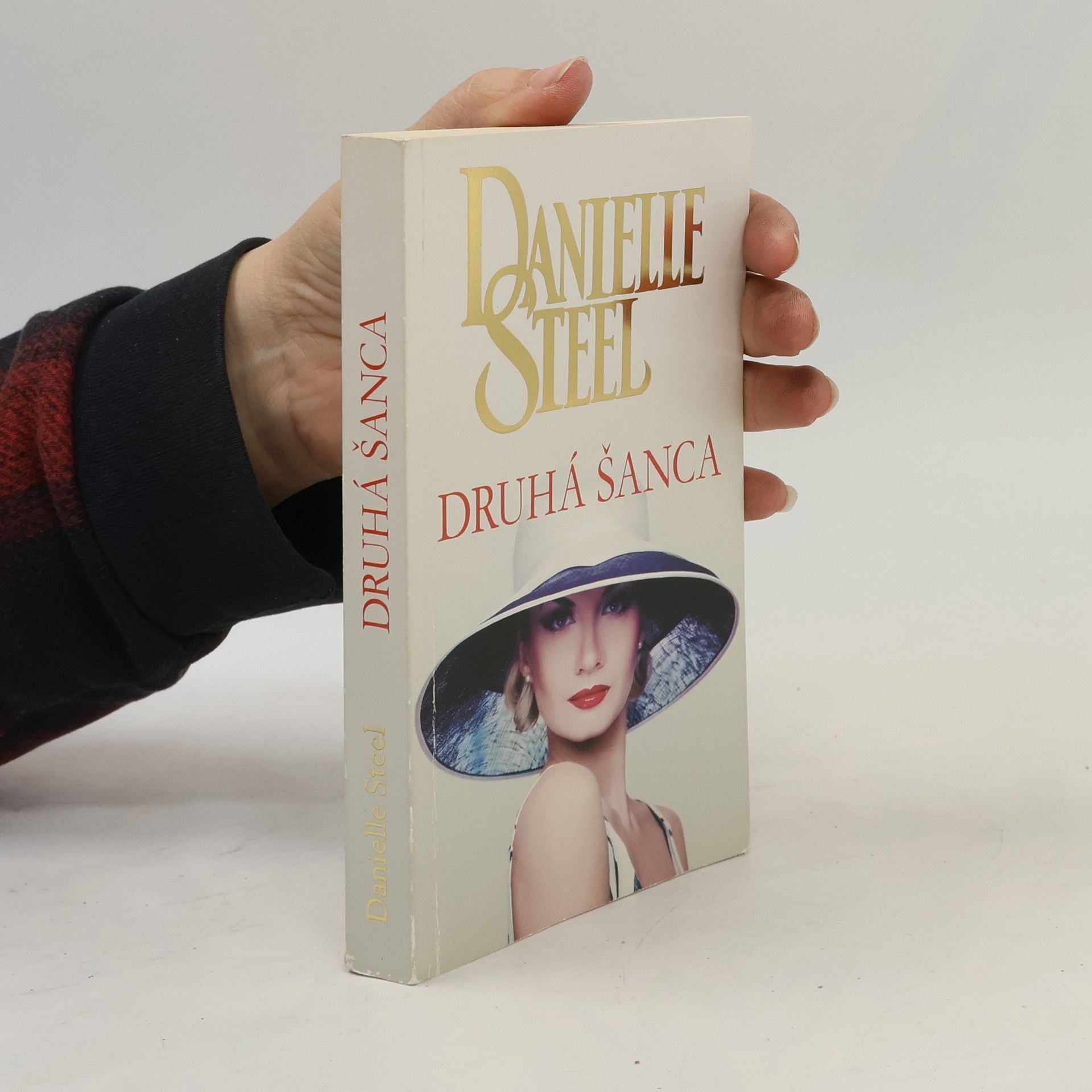 Danielle Steel Druhá šanca