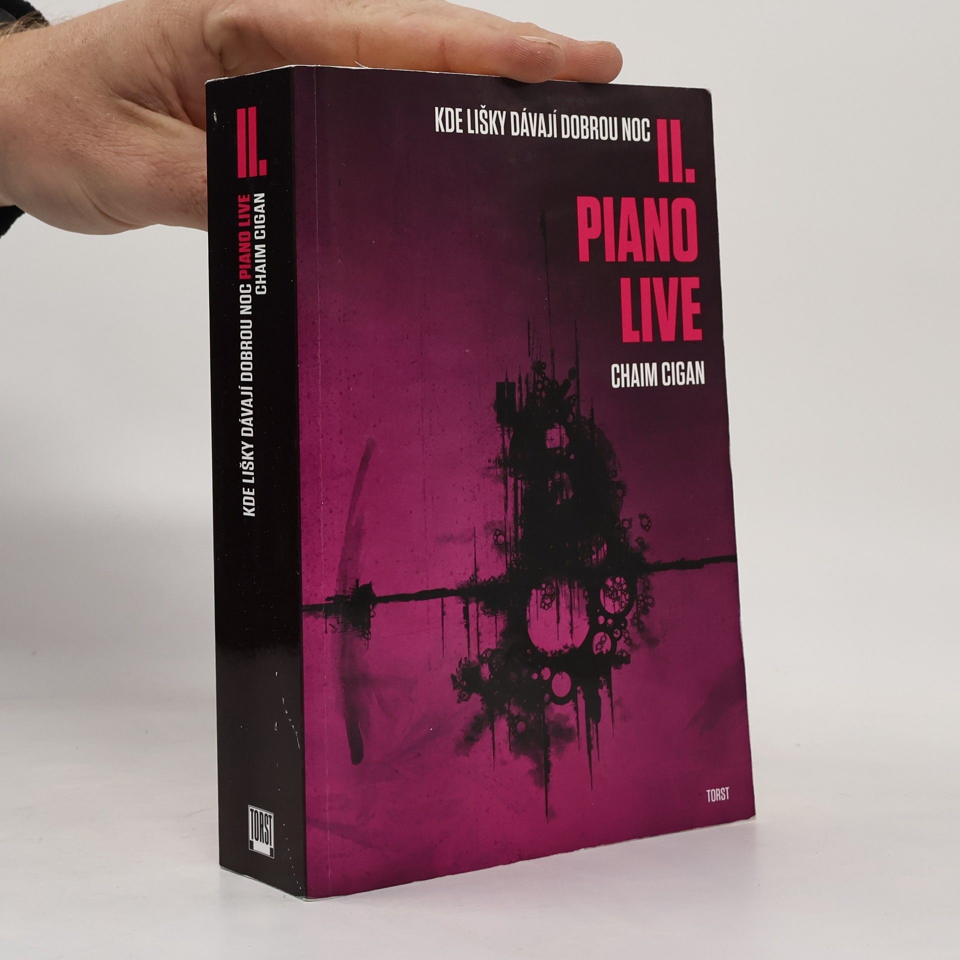 Karol Sidon Kde lišky dávají dobrou noc II. Piano live