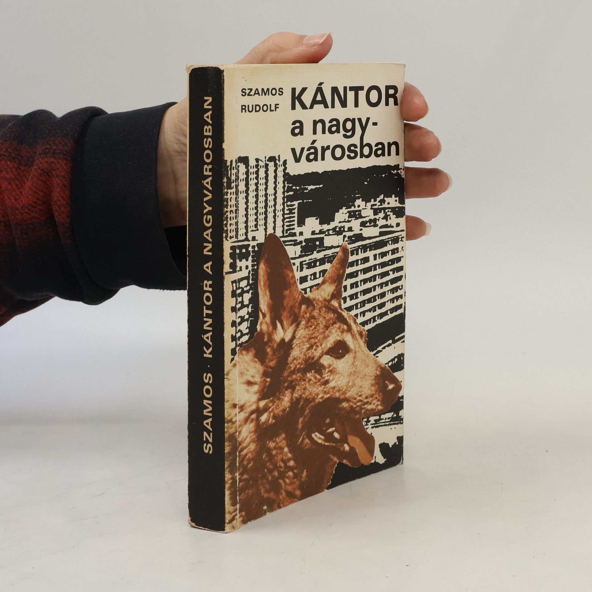 Rudolf Szamos Kántor a nagyvárosban