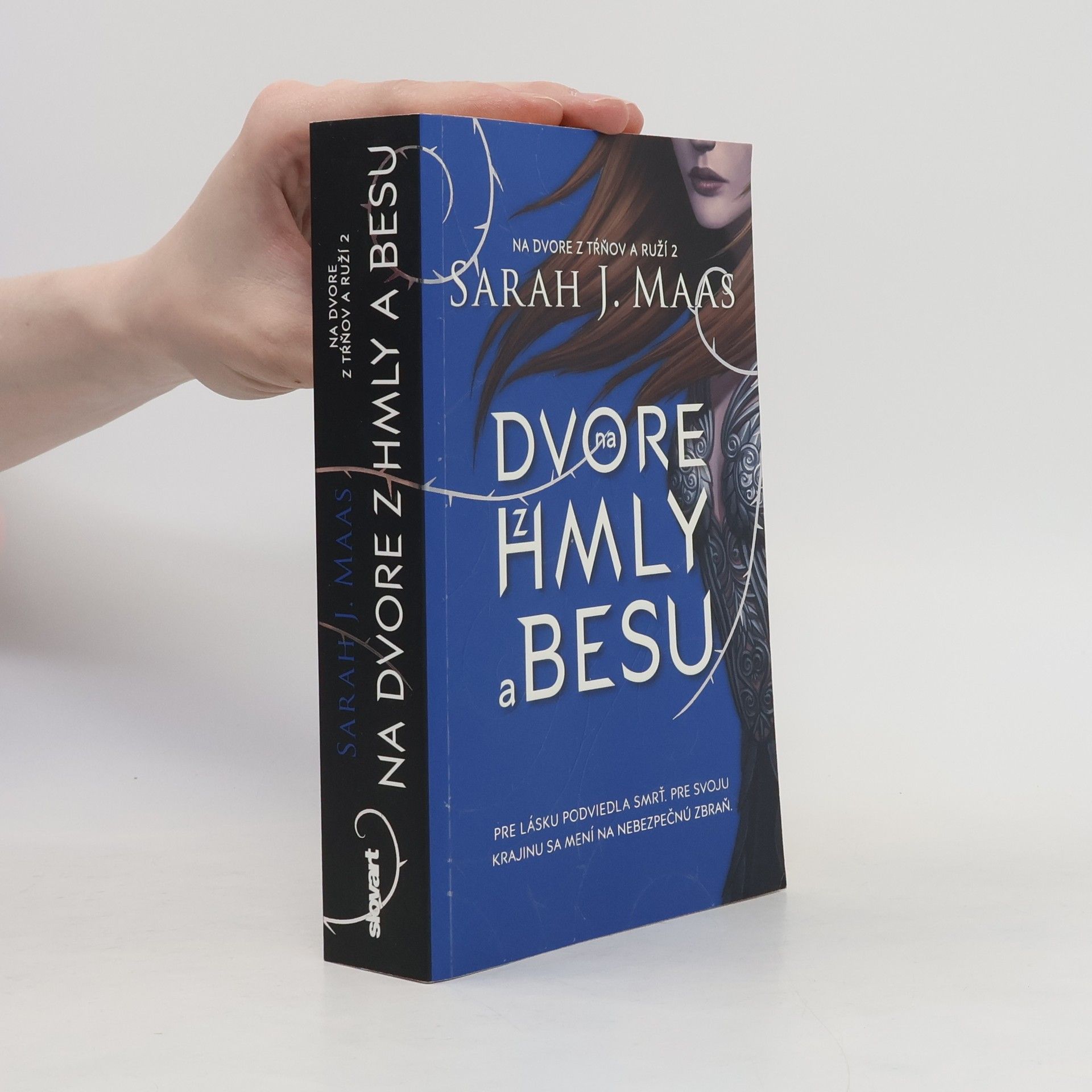 Sarah J. Maas Na dvore z hmly a besu