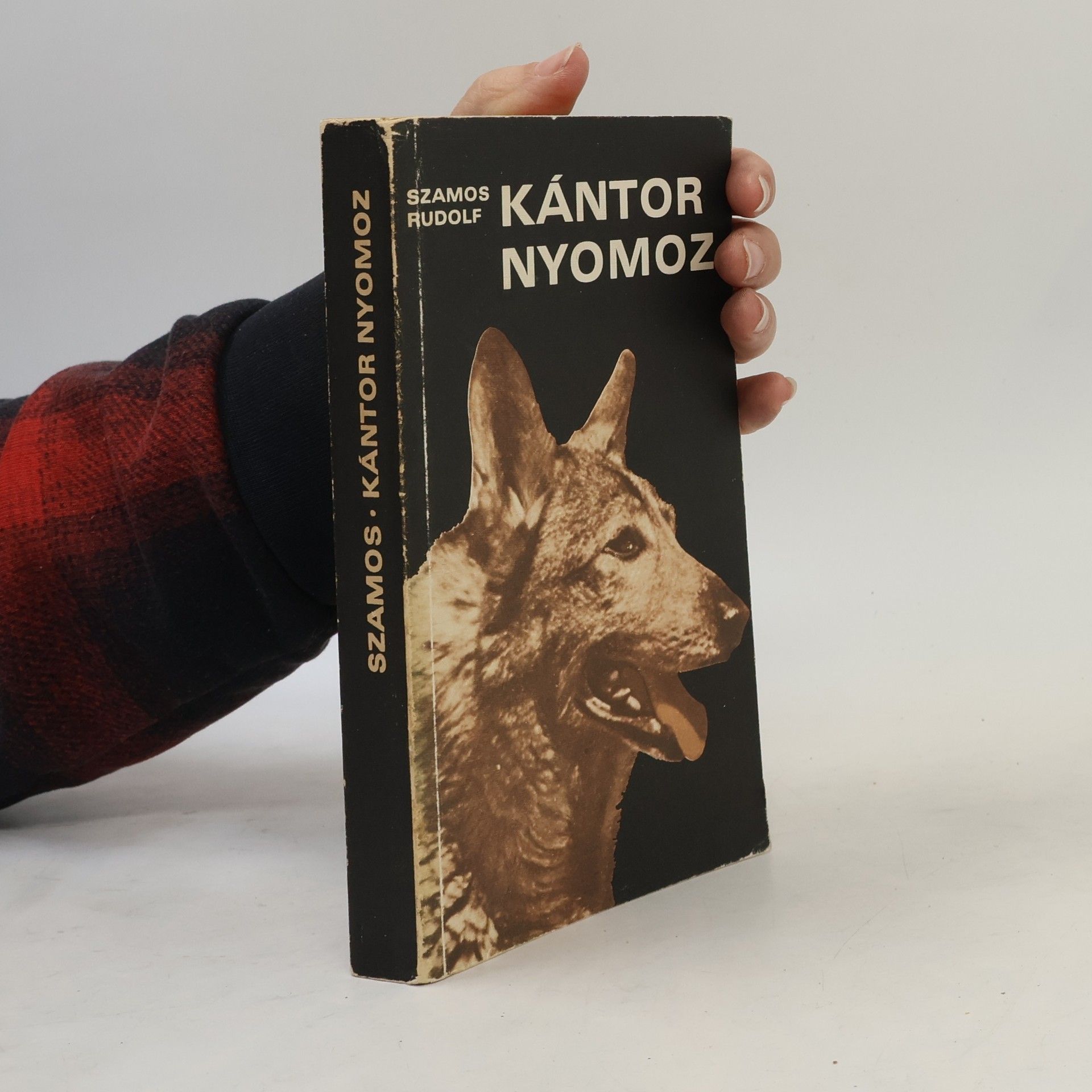 Rudolf Szamos Kántor nyomoz