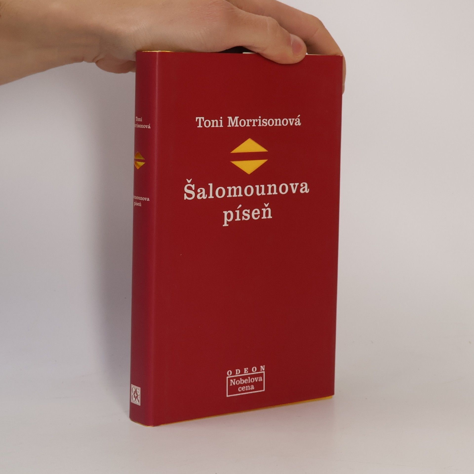 Toni Morrisonová Šalomounova píseň