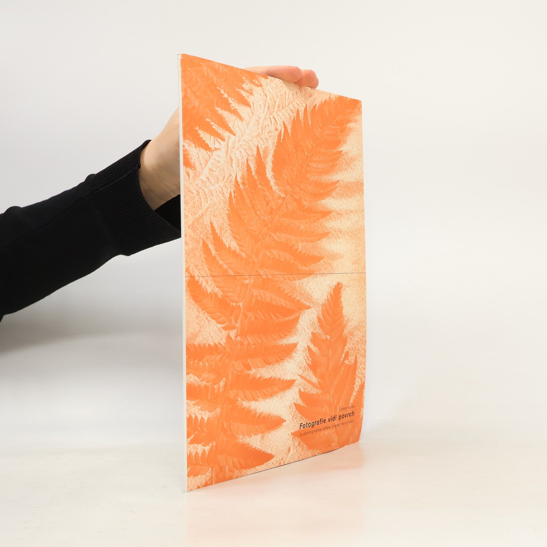 Matthew S. Witkowsky Fotografie vidí povrch = La photographie reflète l'aspect des choses