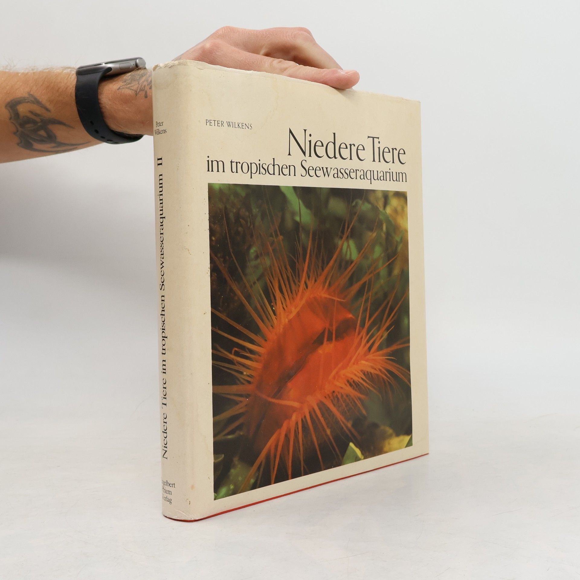 Peter Wilkens Niedere Tiere im tropischen Meerwasseraquarium