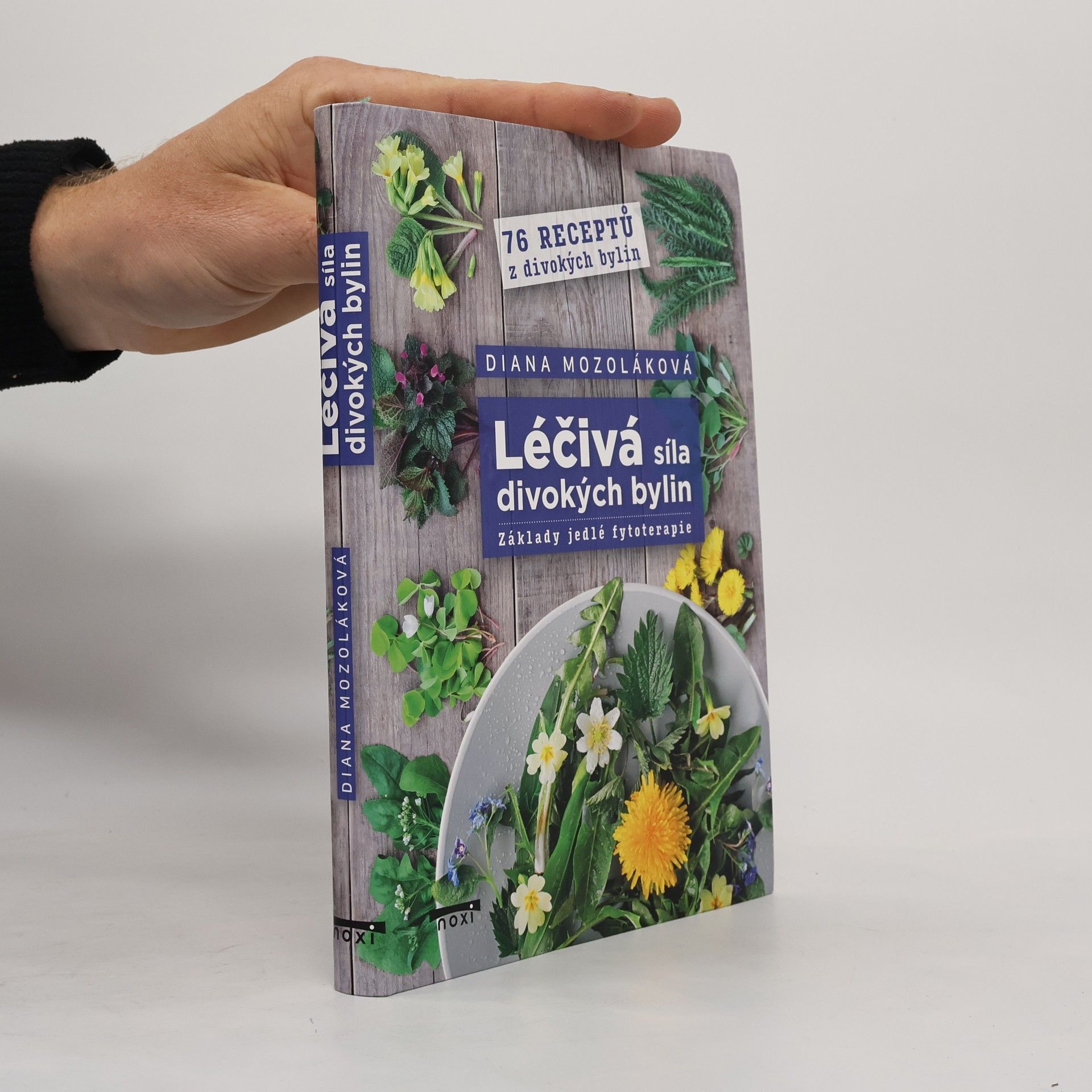 Léčivá síla divokých bylin - Základy jedlé fytoterapie, 76 receptů z divokých bylin