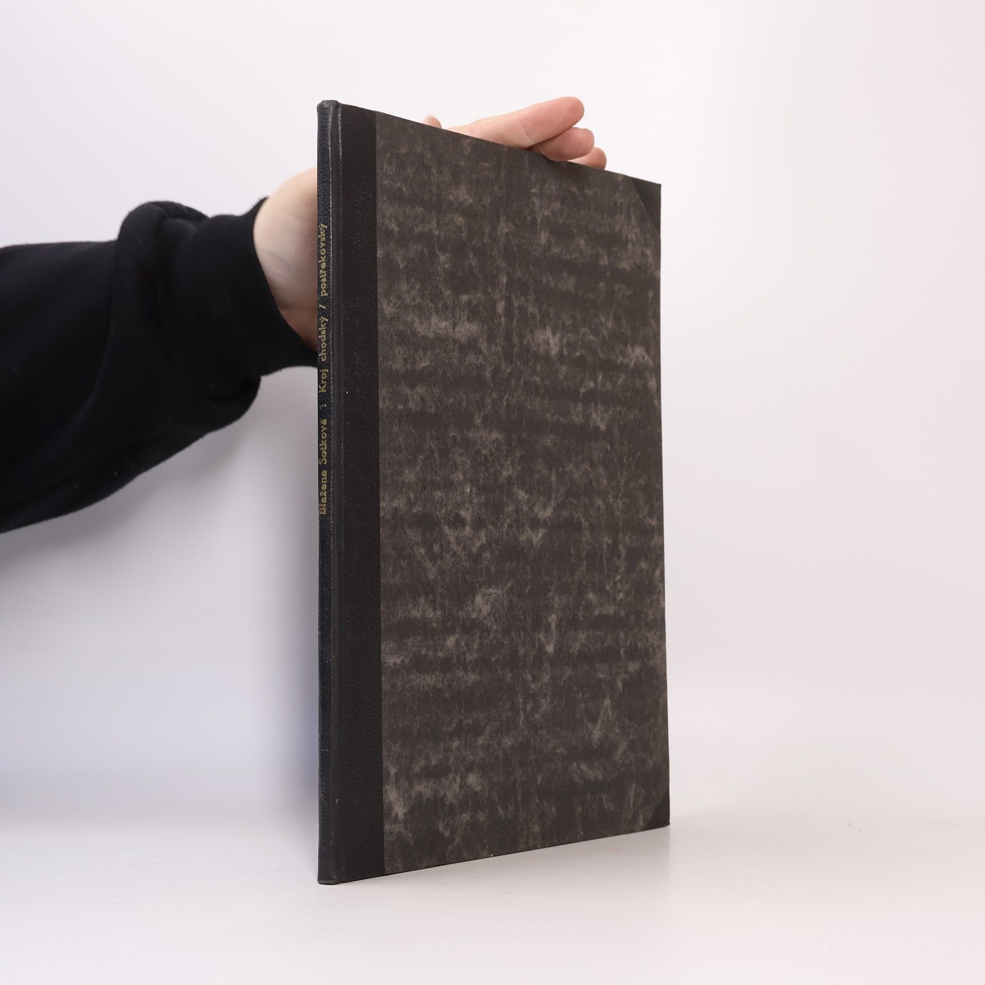 Naše lidové kroje, jejich vzory, střihy a zpracování: Kroj litomyšlský