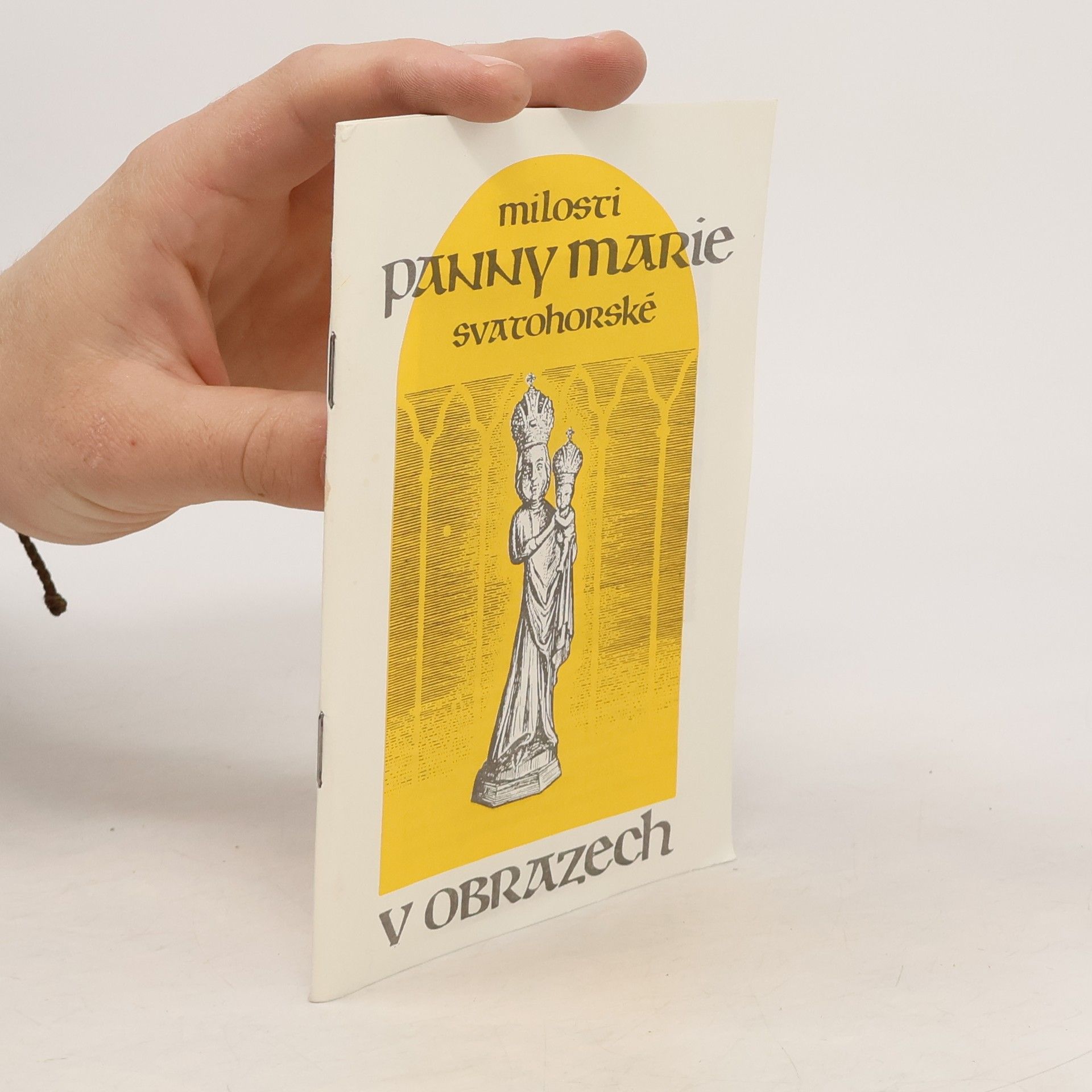 Autorenkollektiv Milosti Panny Marie Svatohorské v obrazech