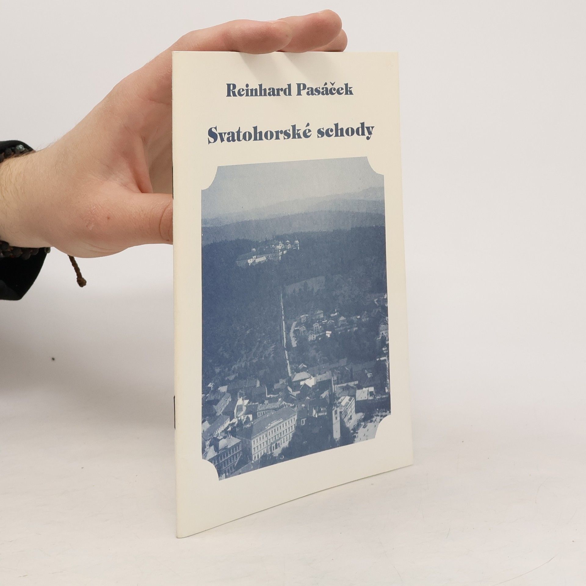 Reinhard Pasáček Svatohorské schody