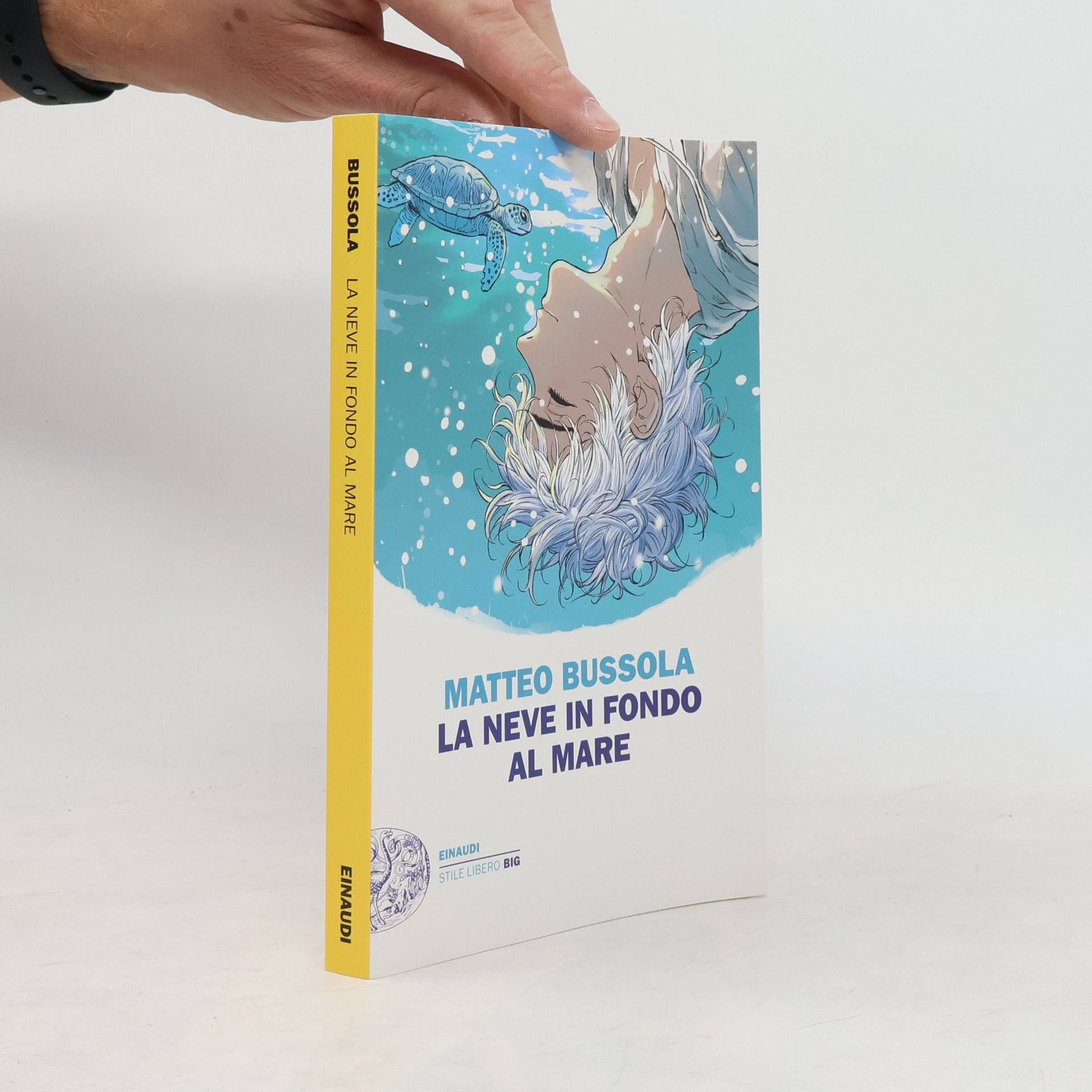 Matteo Bussola La neve in fondo al mare