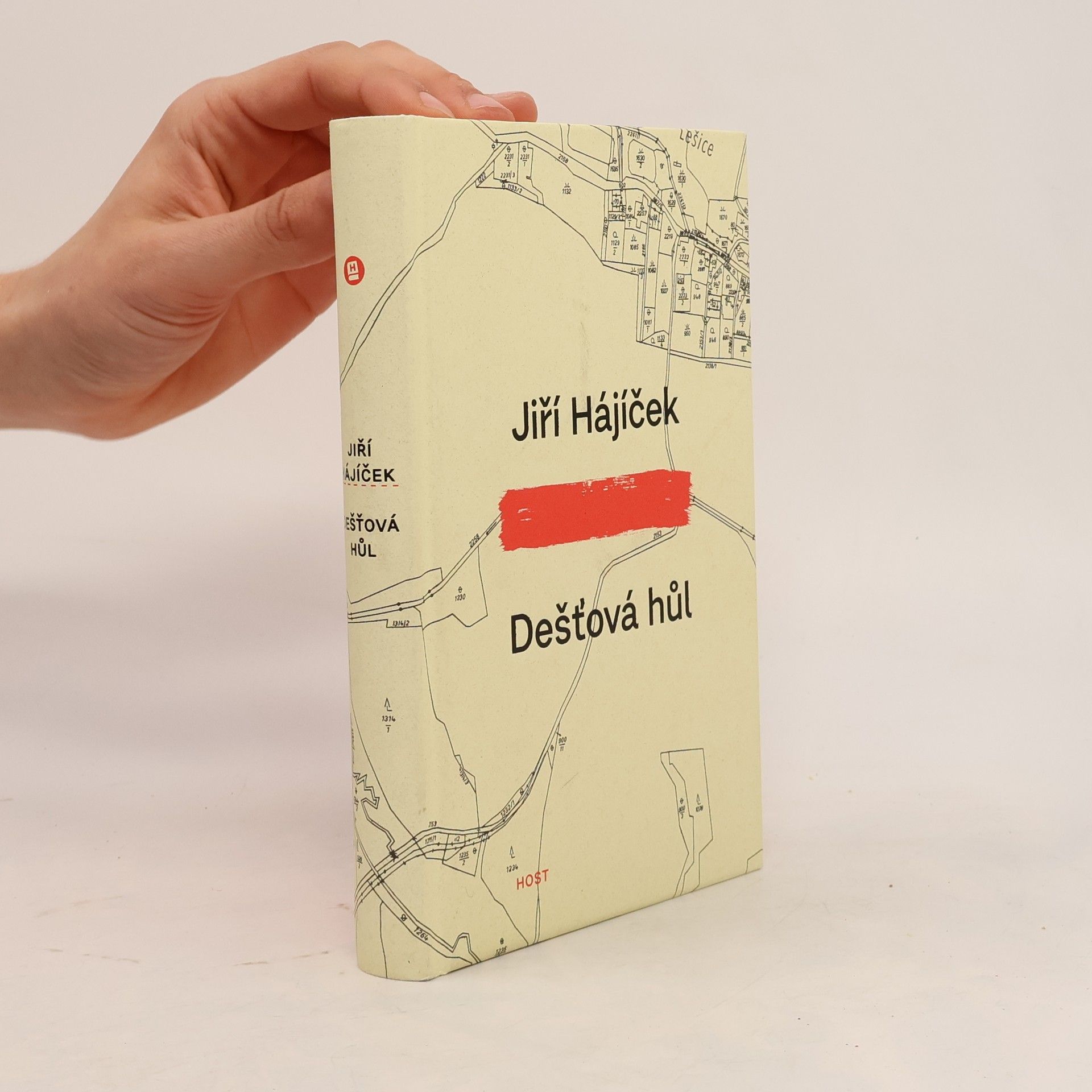 Jiří Hájíček Dešťová hůl