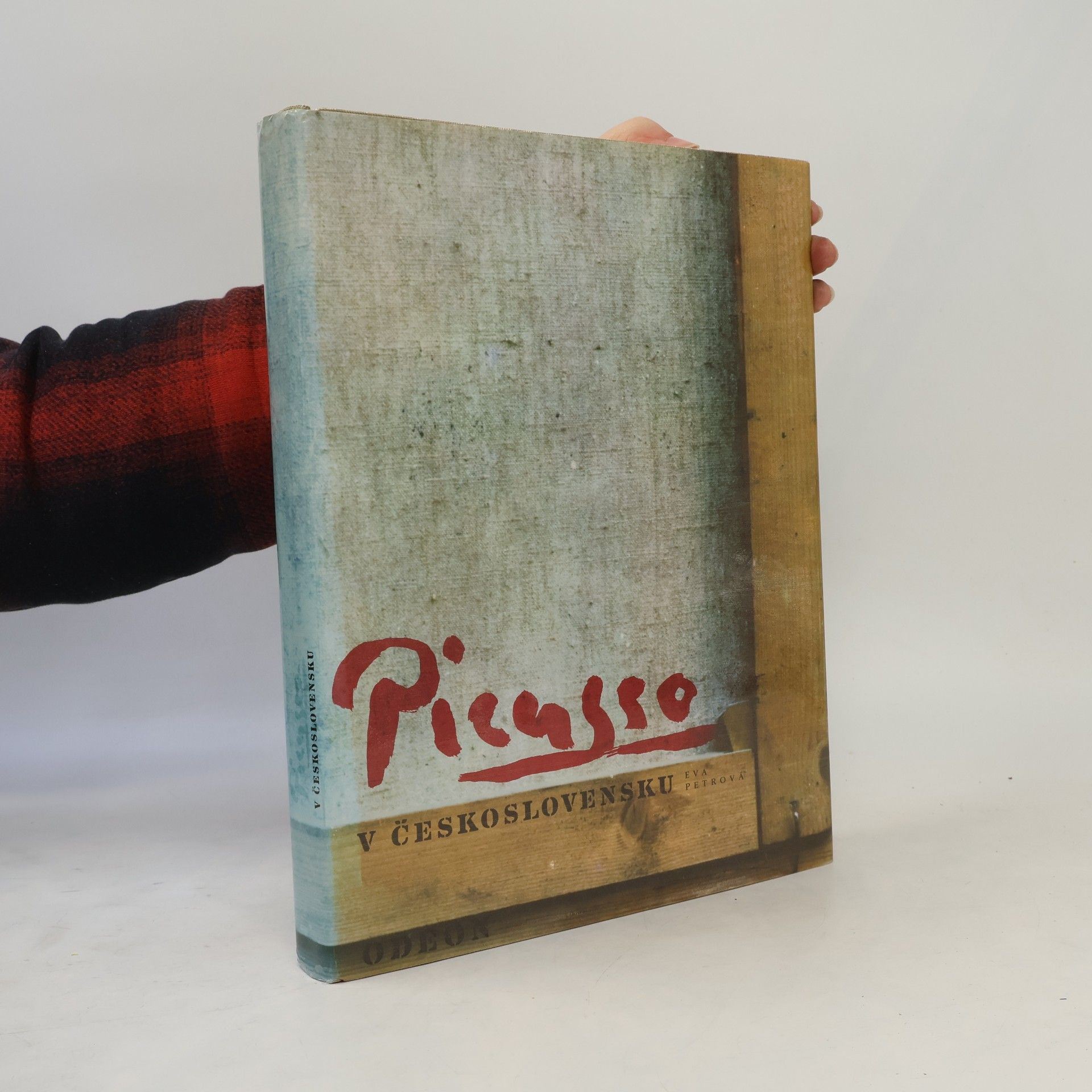 Eva Petrová Picusso v československu