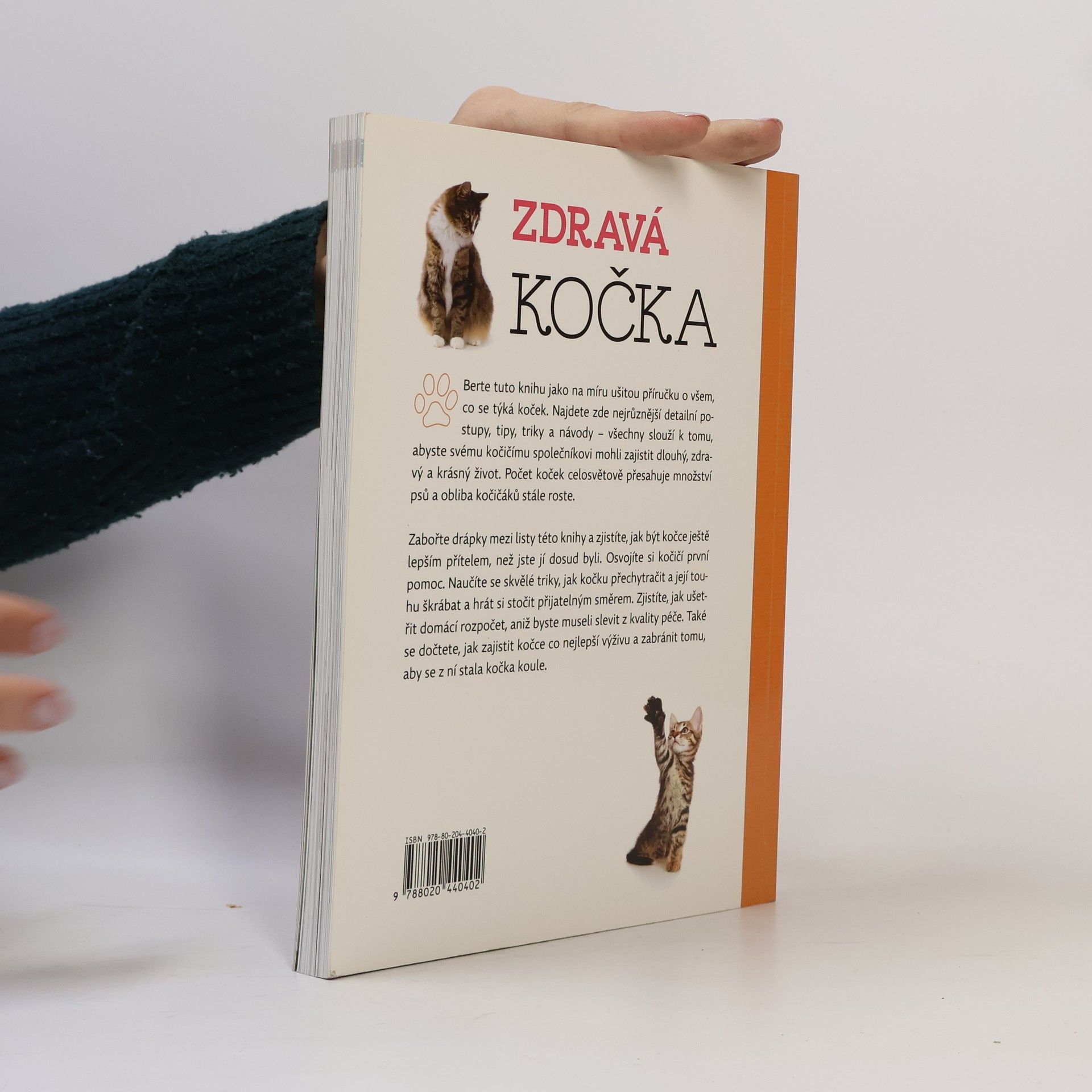 Arden Moore Zdravá kočka: Tipy & triky, jak zajistit vaší kočce delší, zdravější a šťastnější život