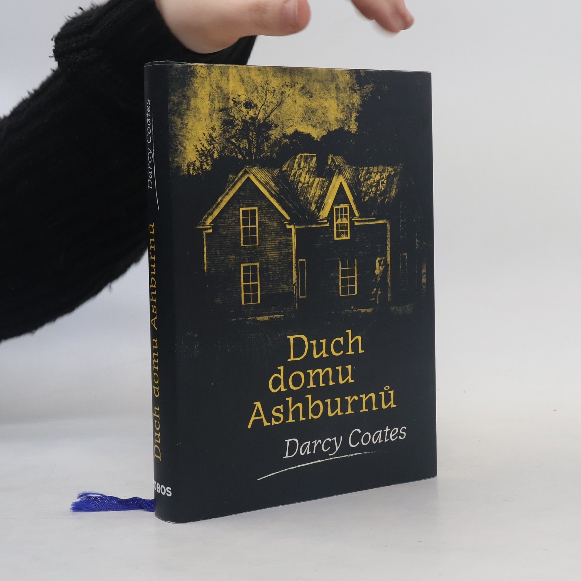 Darcy Coates Duch domu Ashburnů