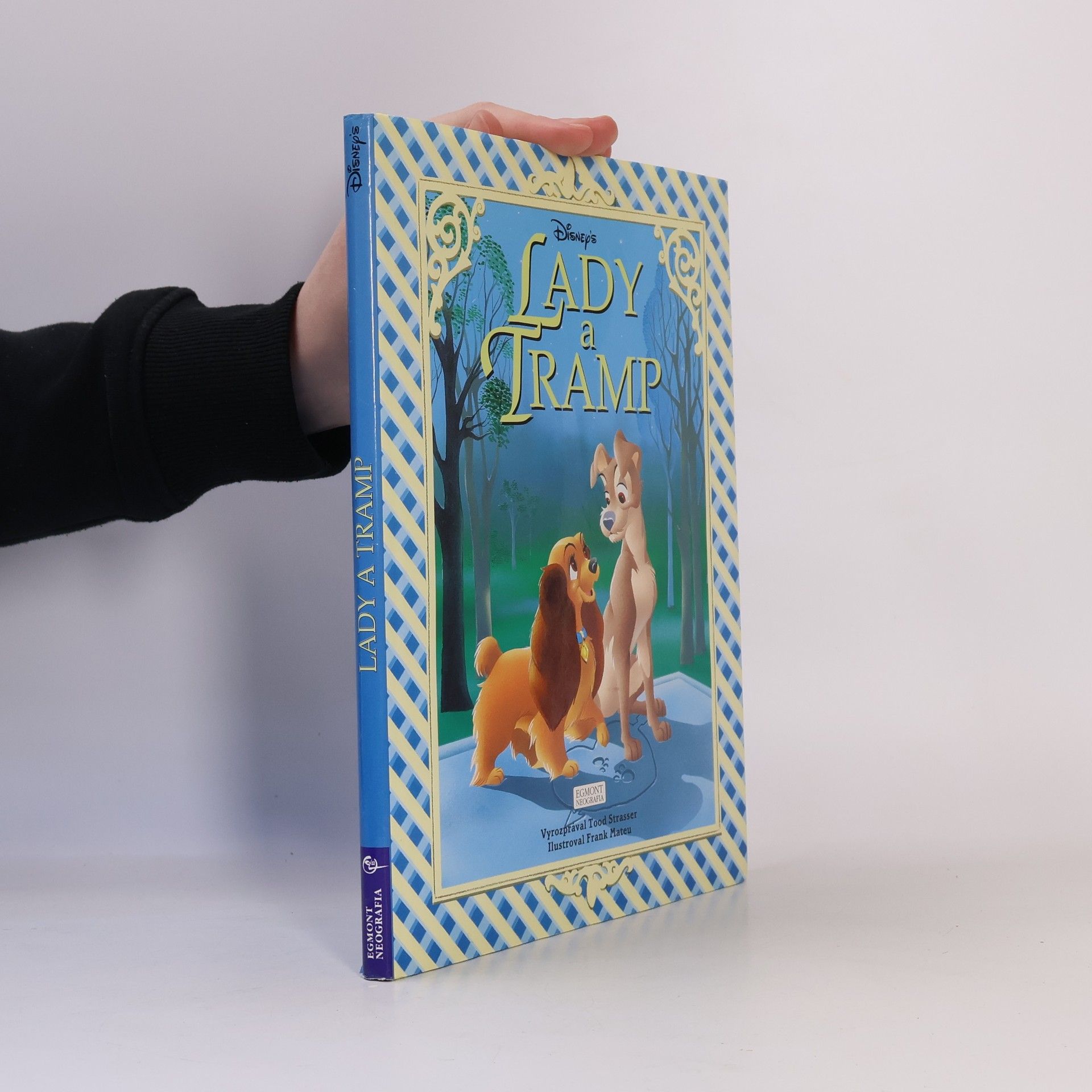 Walt Disney Lady a Tramp