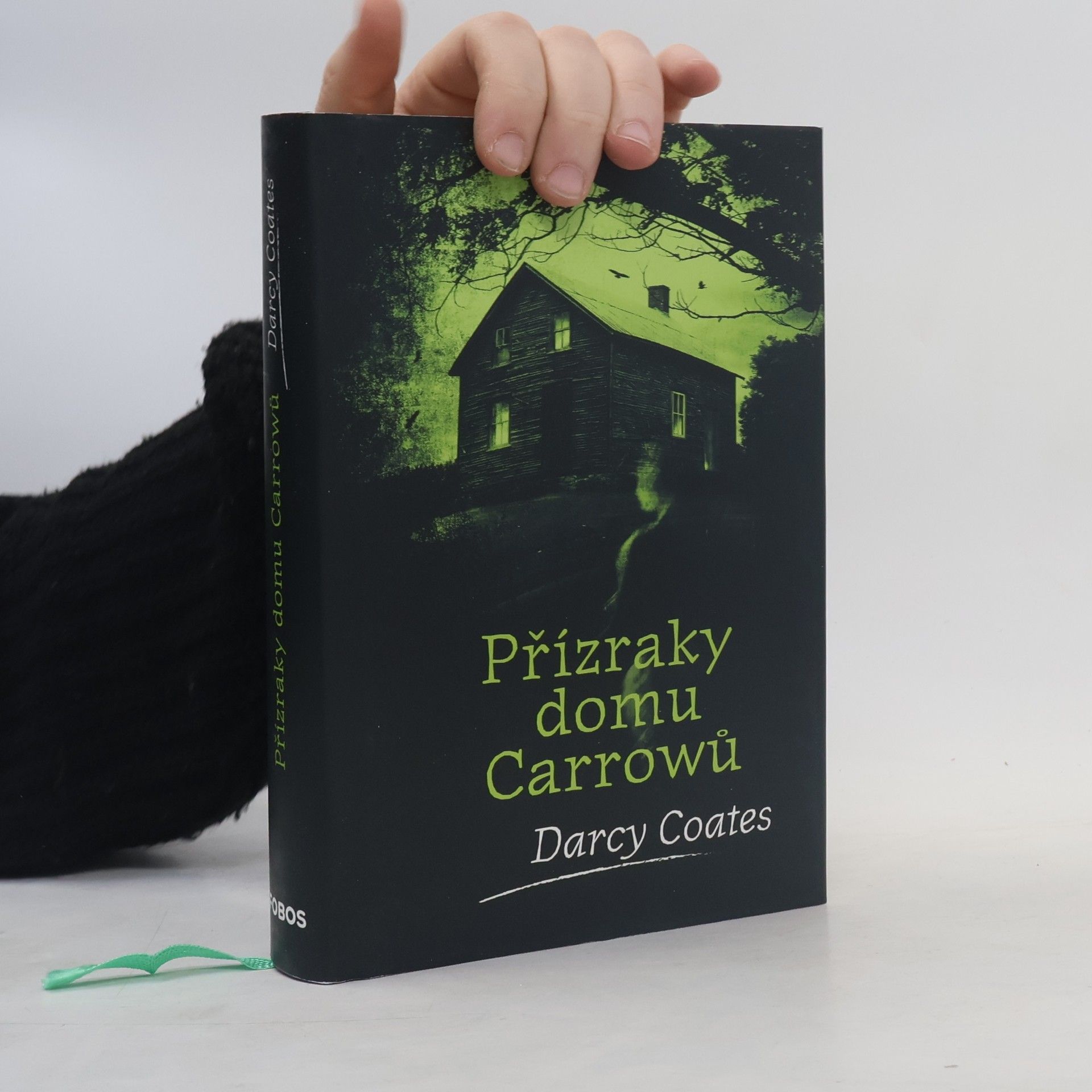 Darcy Coates Přízraky domu Carrowů
