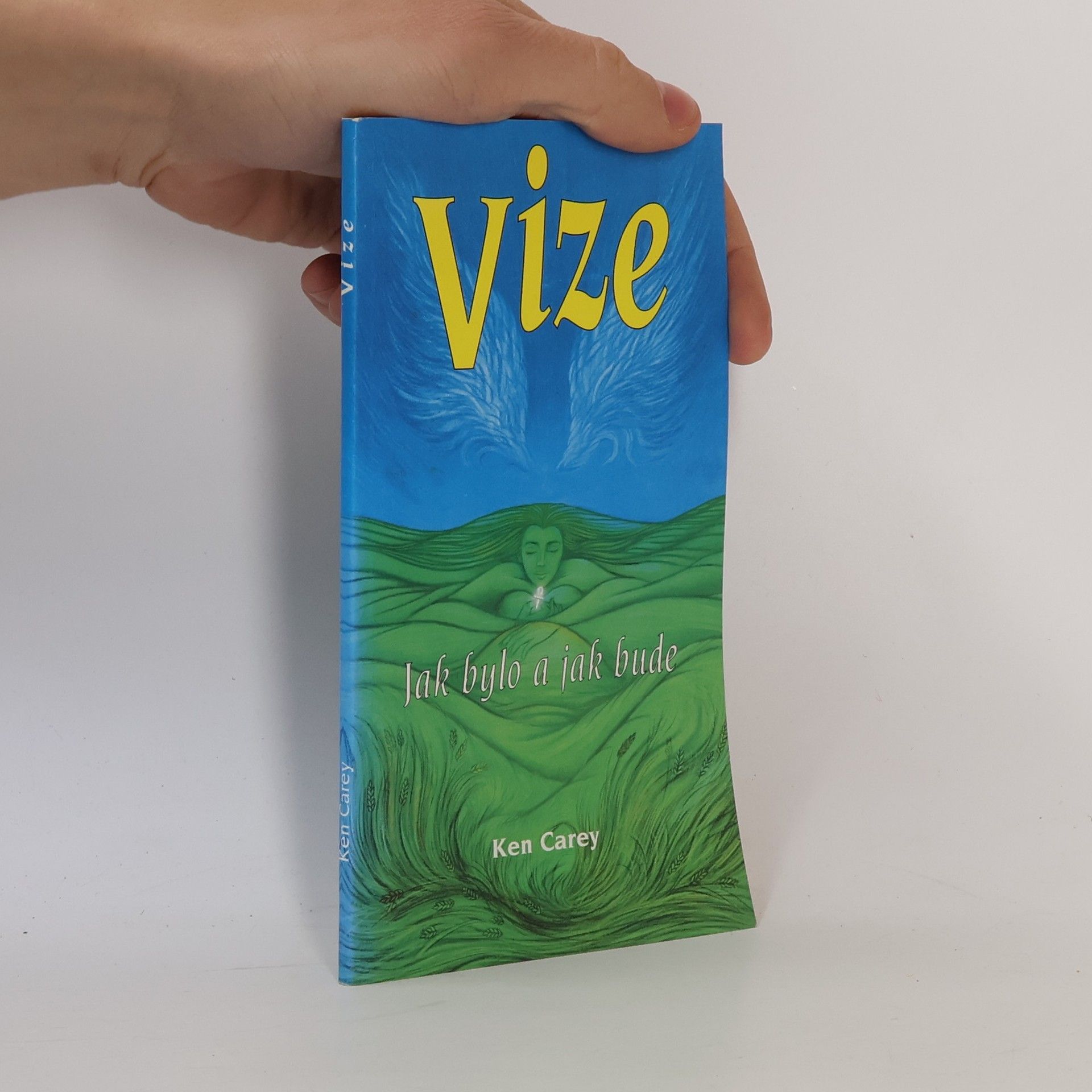 Ken Carey Vize : jak bylo a jak bude