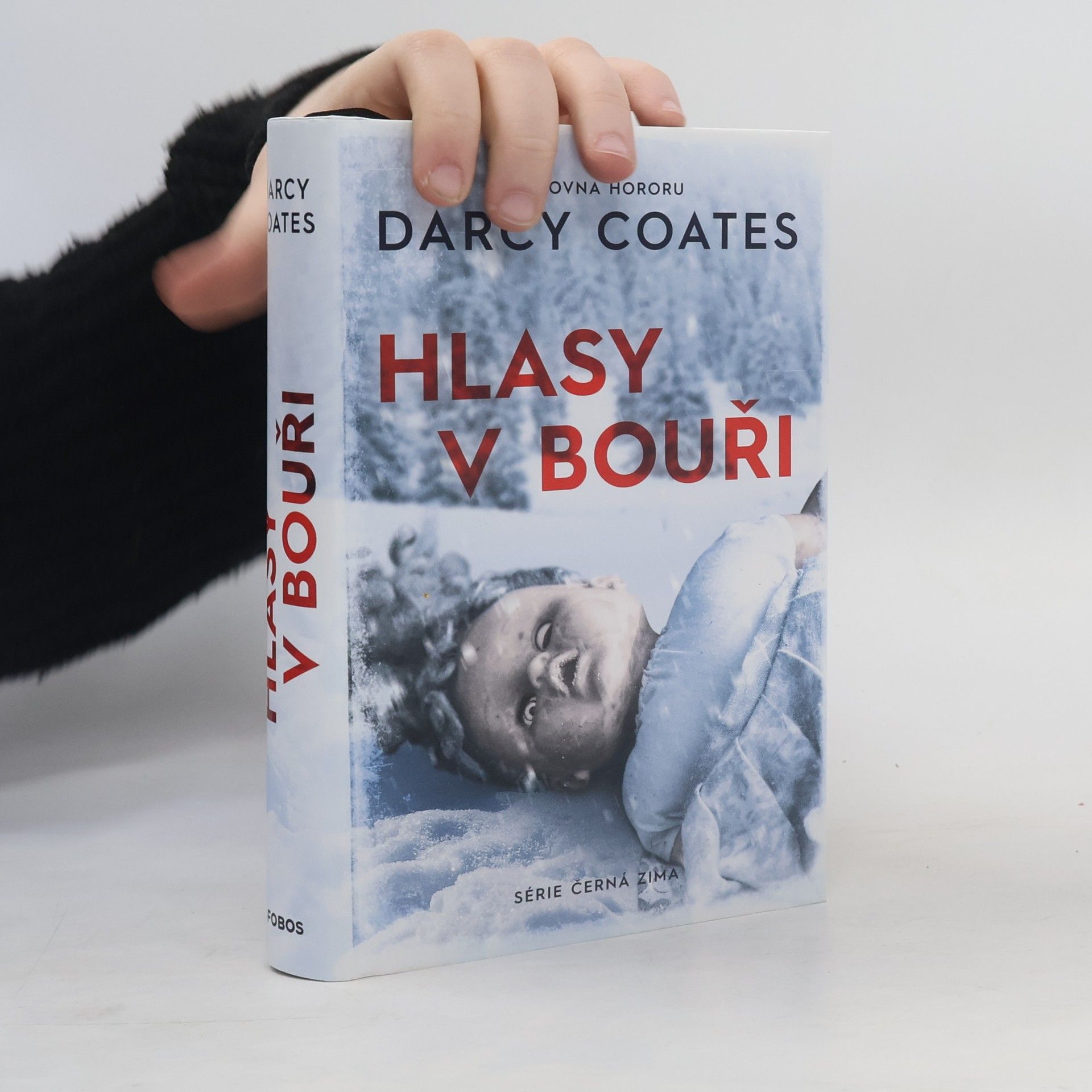 Darcy Coates Hlasy v bouři