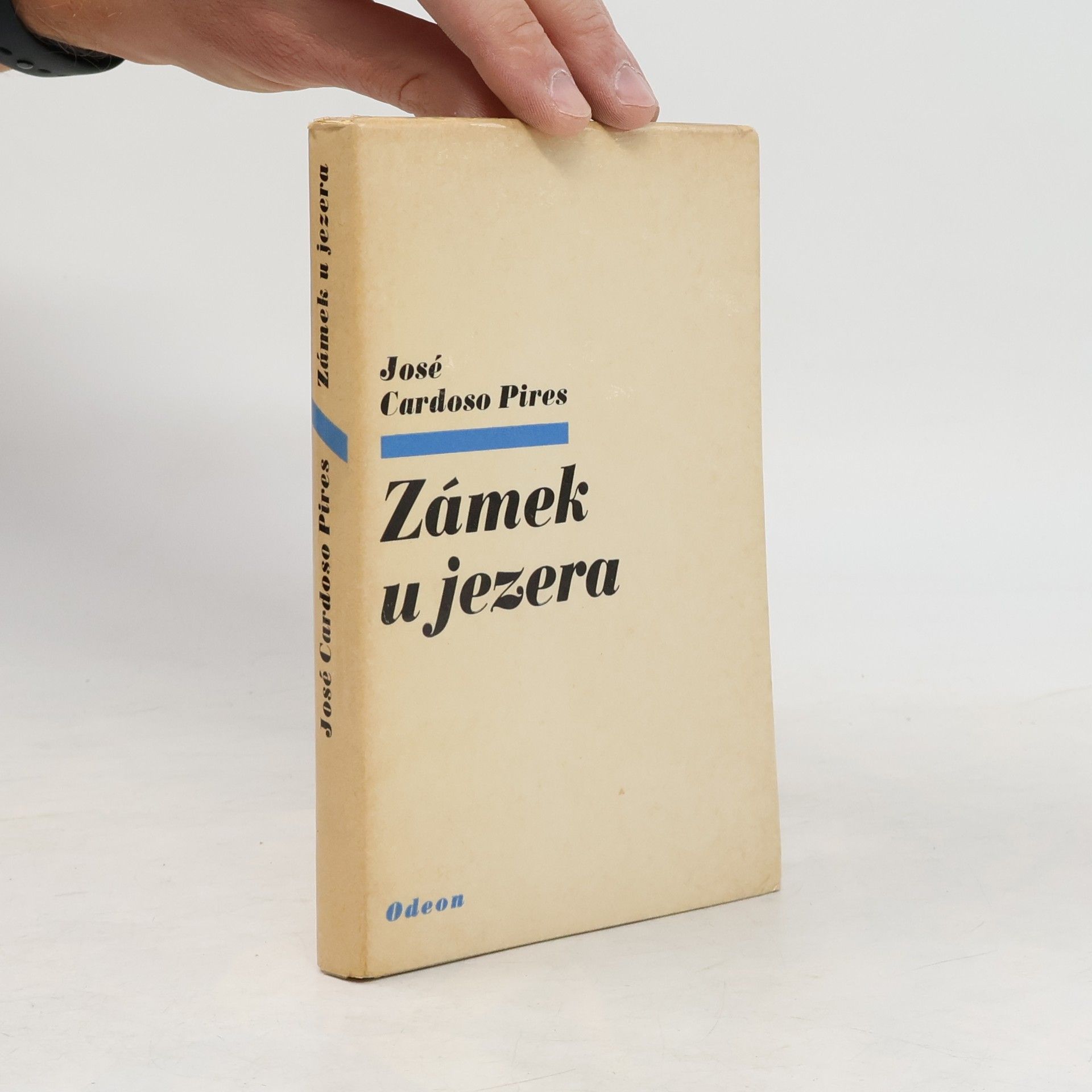 José Cardosa Pires Zámek u jezera