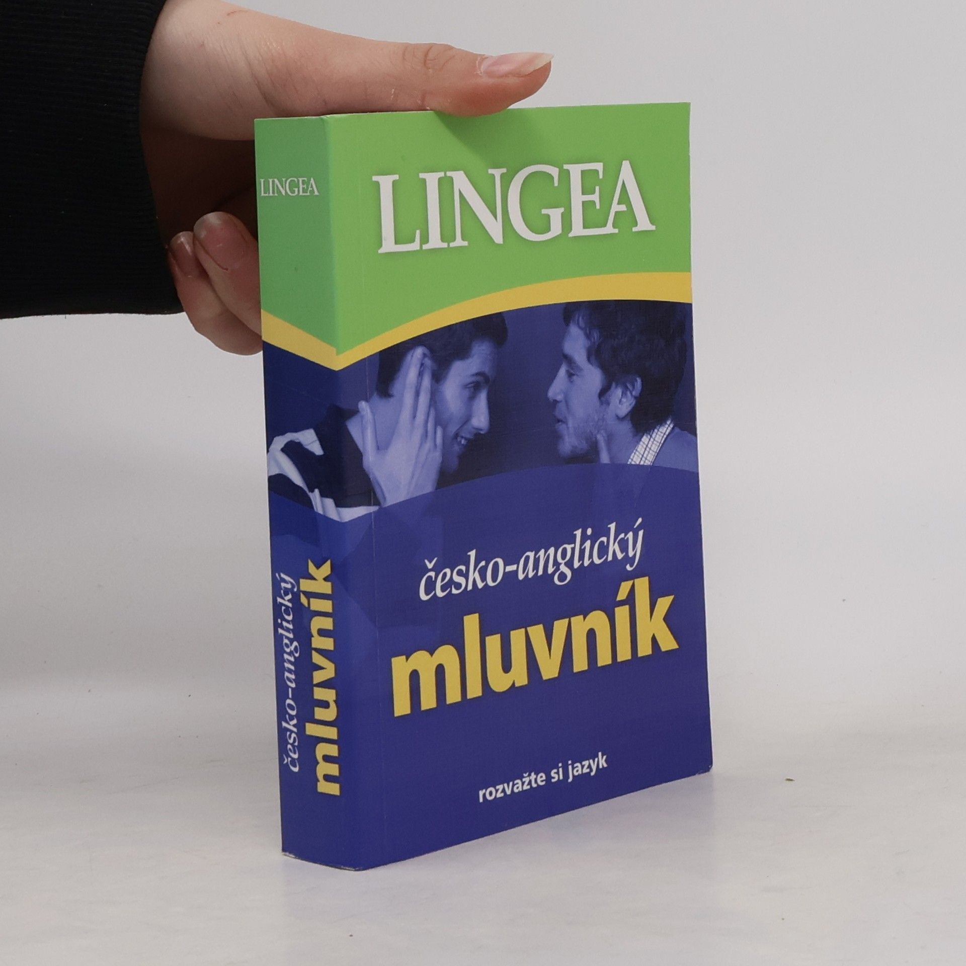 Autorenkollektiv Česko-anglický mluvník