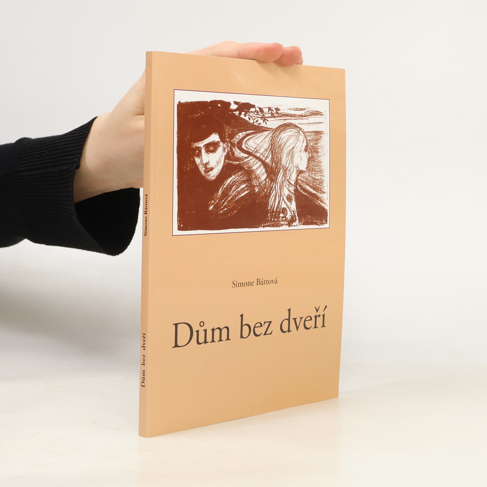 Simone Bártová Dům bez dveří