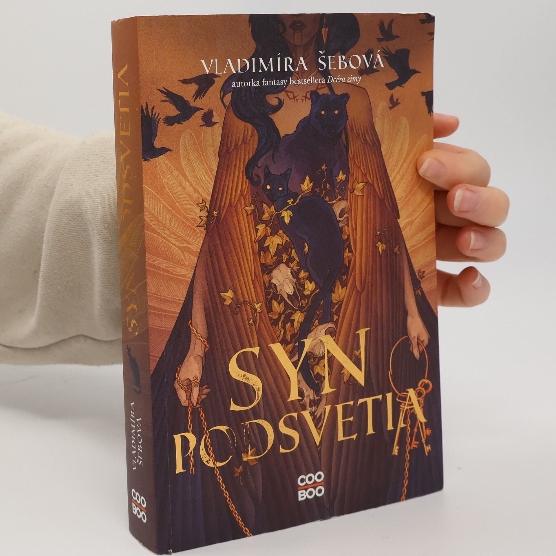 Vladimíra Šebová Syn podsvetia
