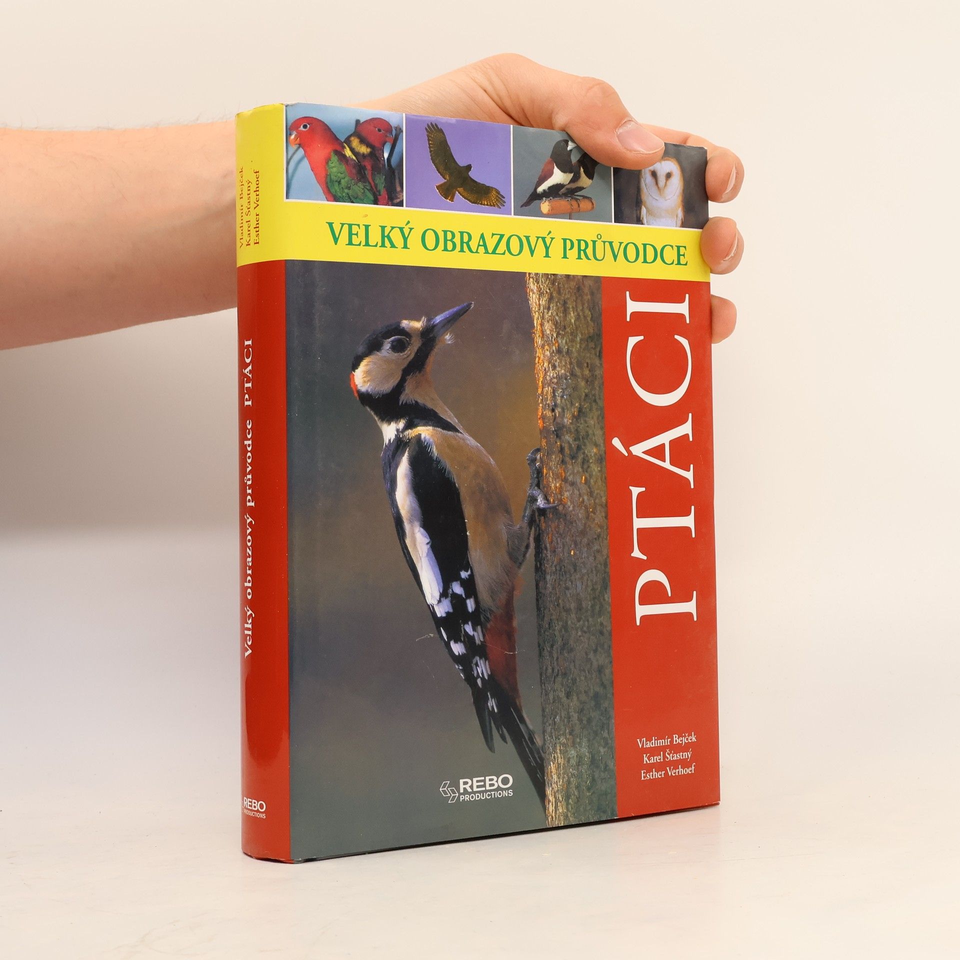 Esther Verhoef Ptáci - Velký obrazový průvodce