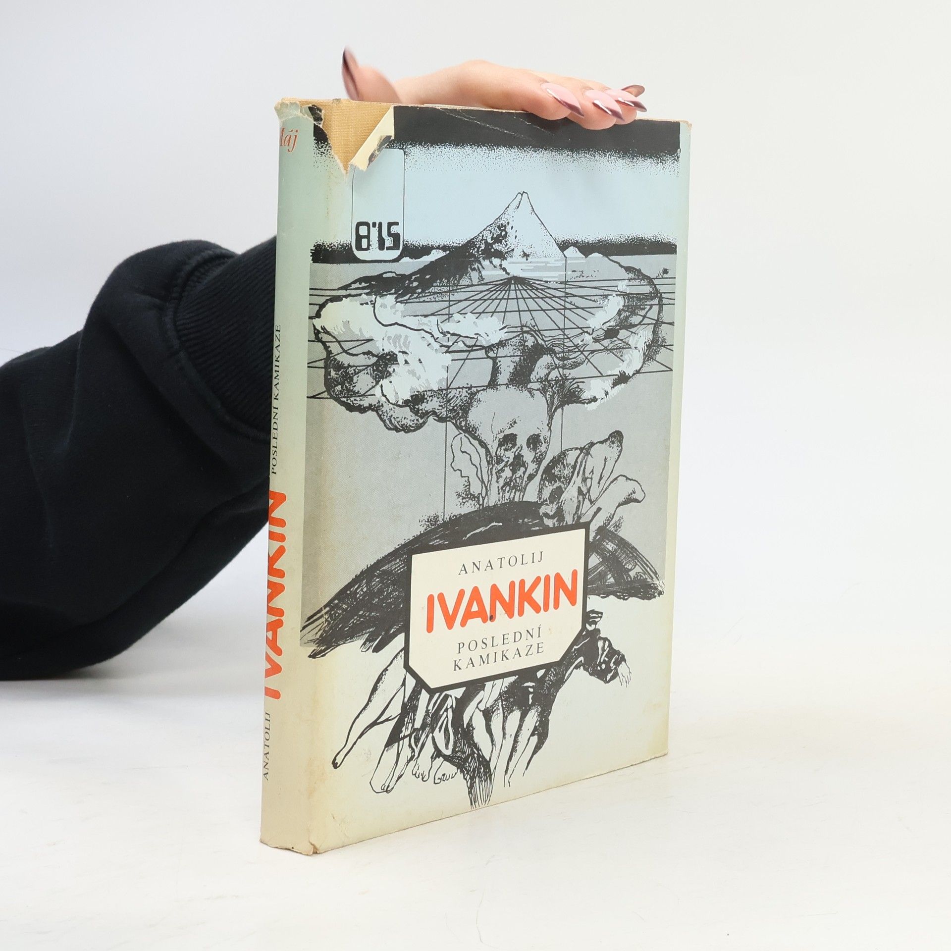 Zdeňka Vasiljevová Poslední kamikaze