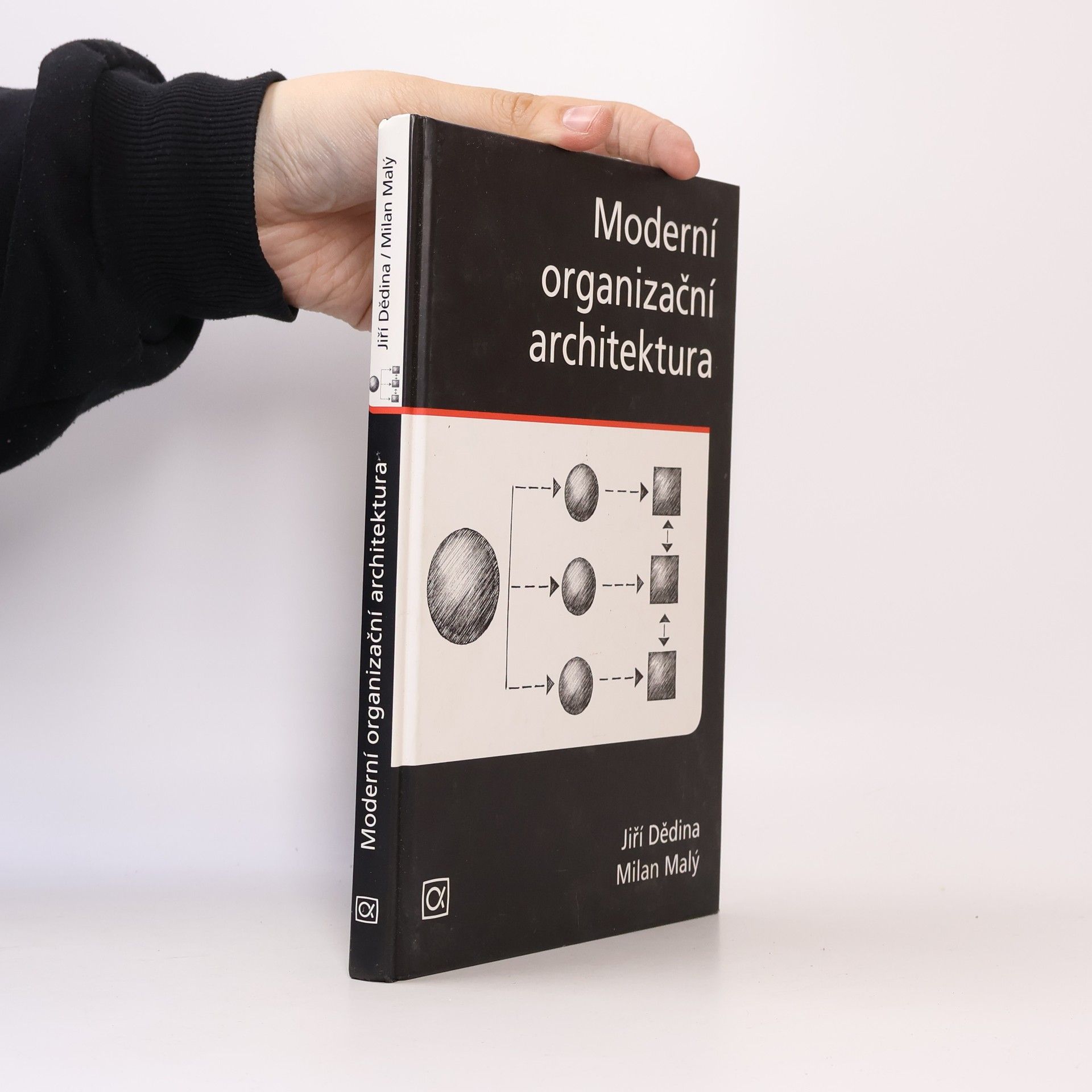 Milan Malý Moderní organizační architektura