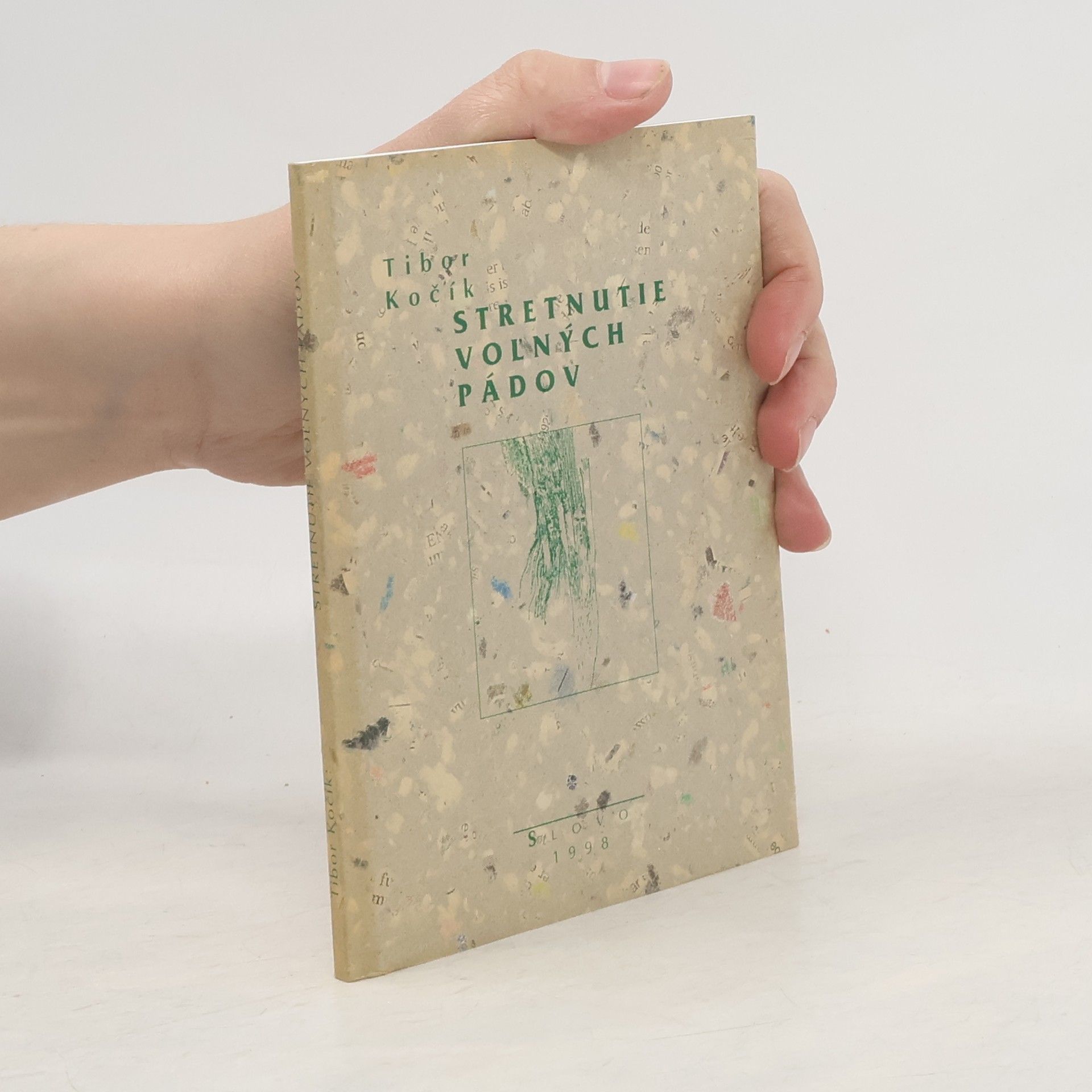 Pavol Hudák Stretnutie voľných pádov